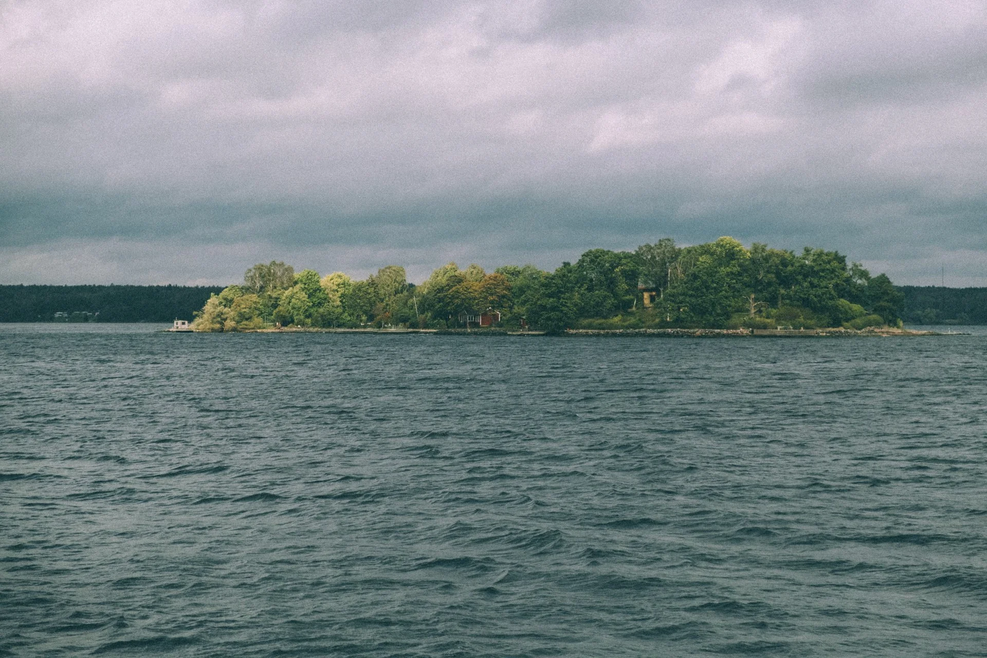 DSCF6604.jpg