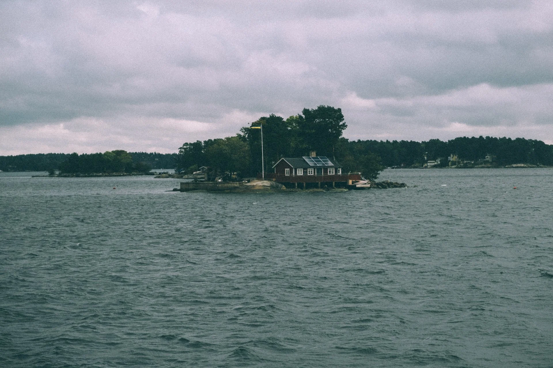 DSCF6536.jpg