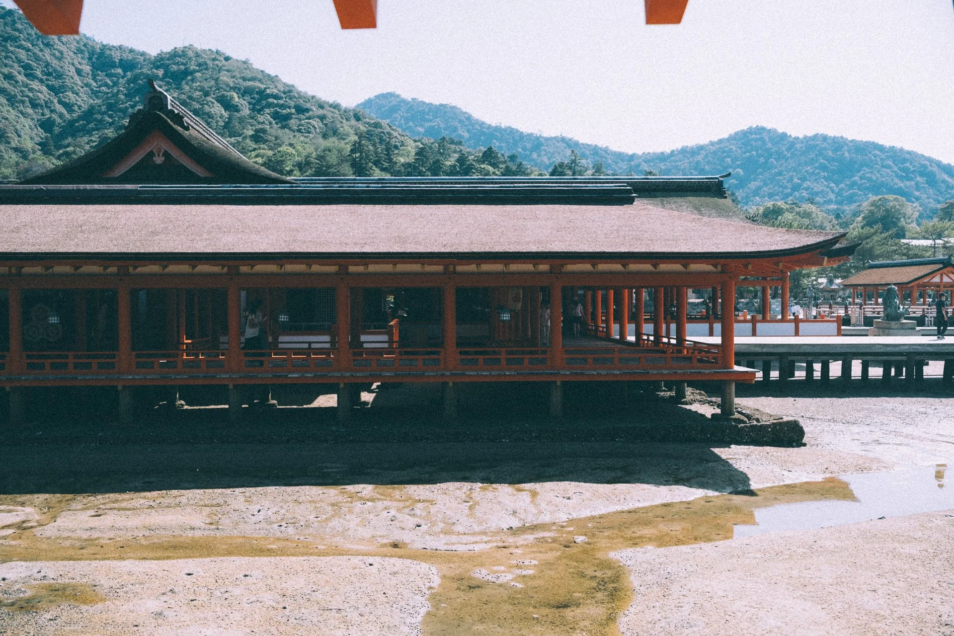 DSCF1826.jpg