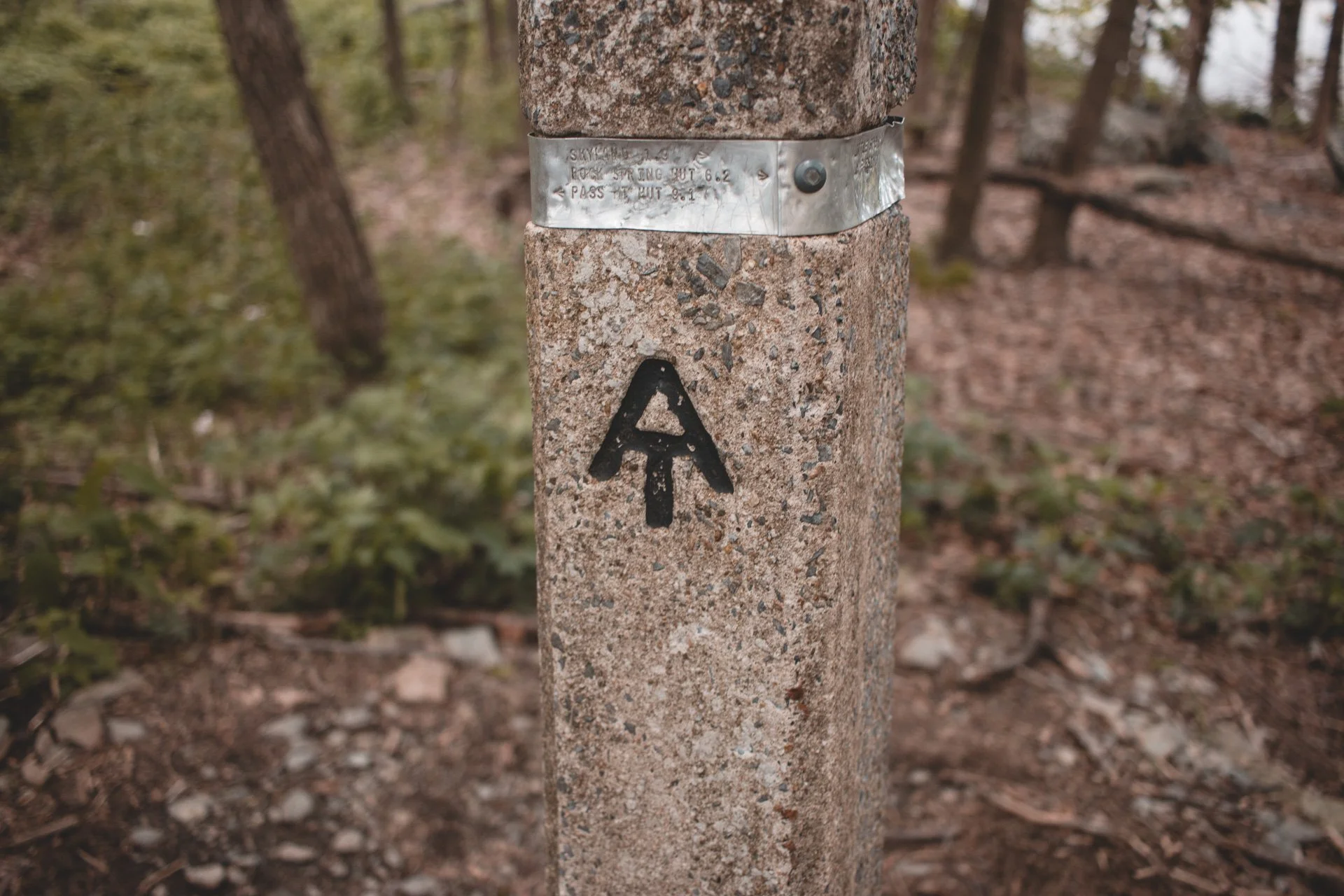 shenandoah-506.jpg