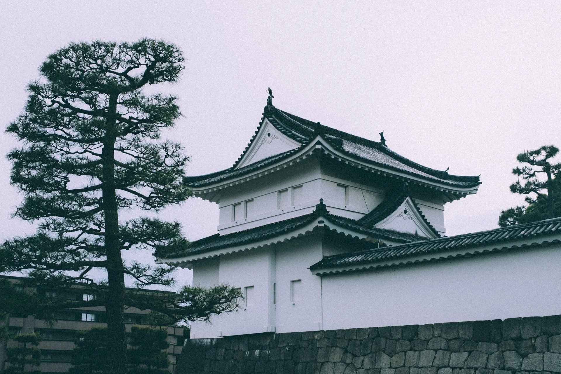 DSCF0262.jpg
