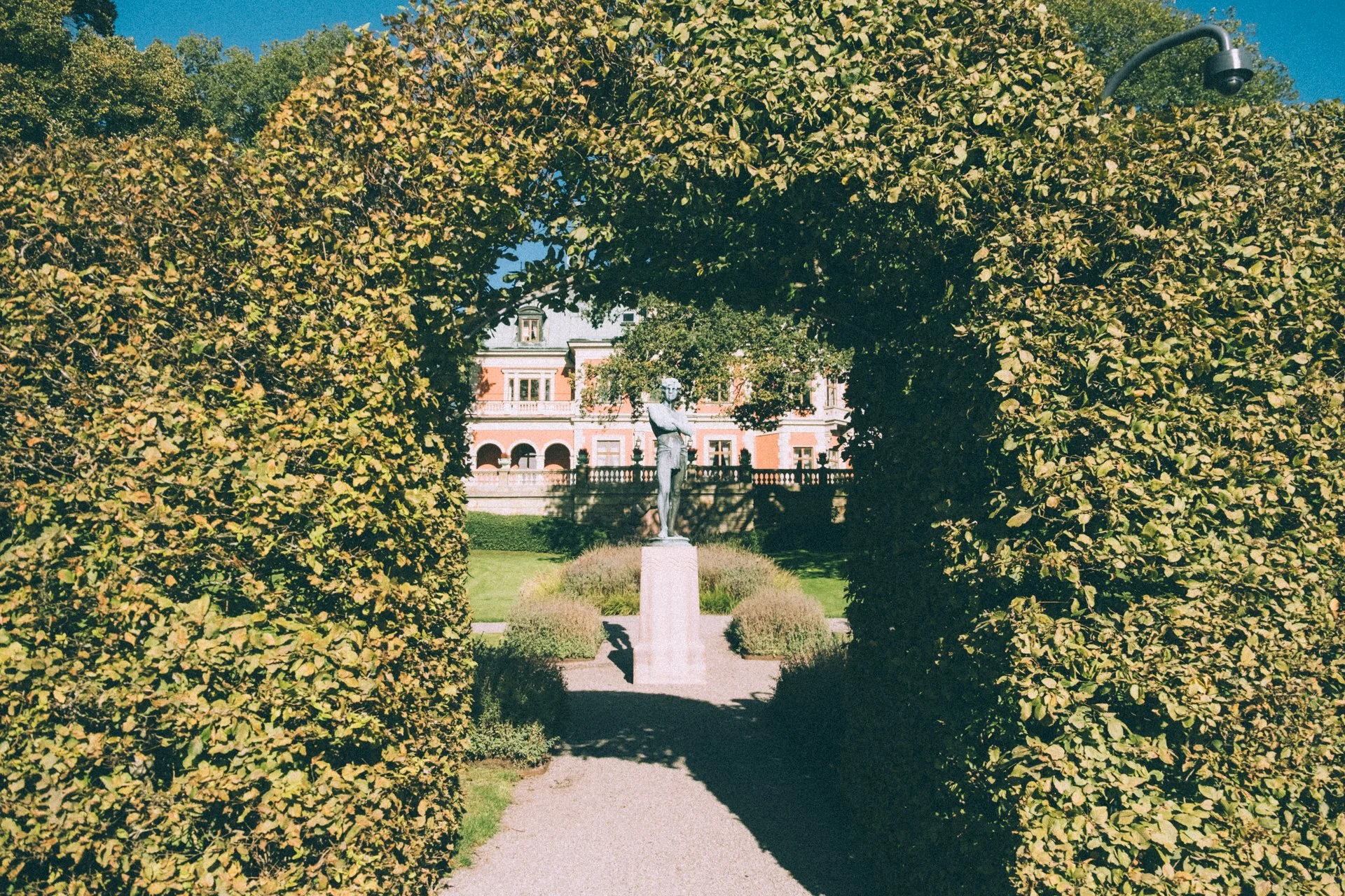 DSCF6841.jpg