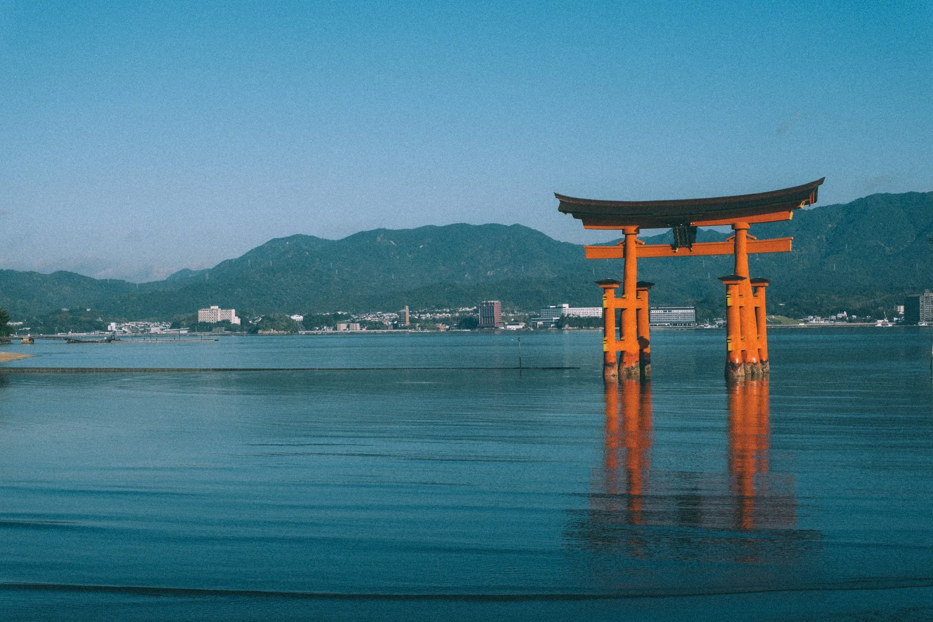 DSCF1949.jpg