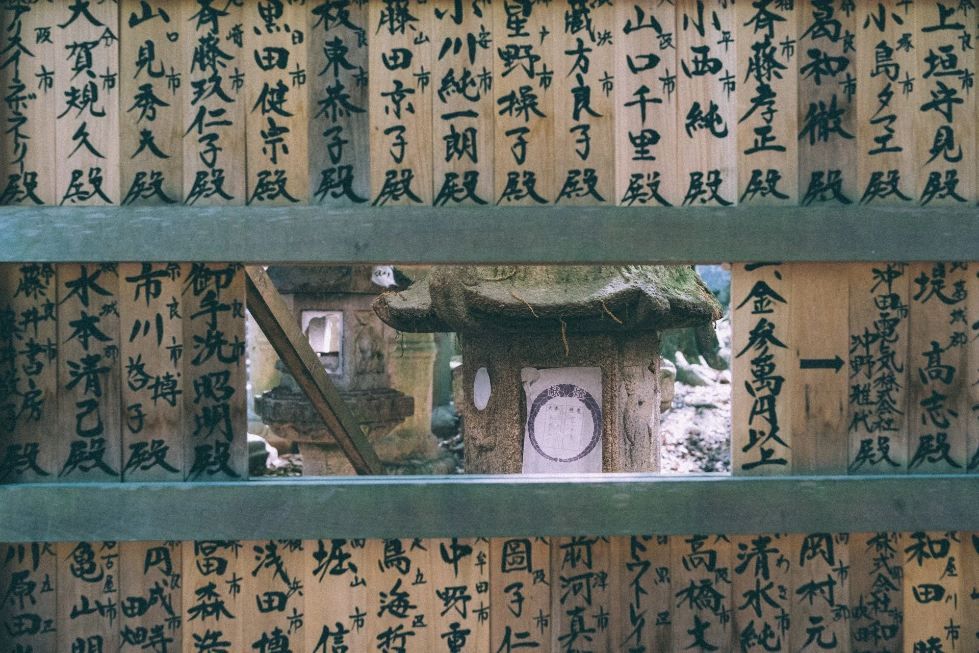 DSCF0350.jpg
