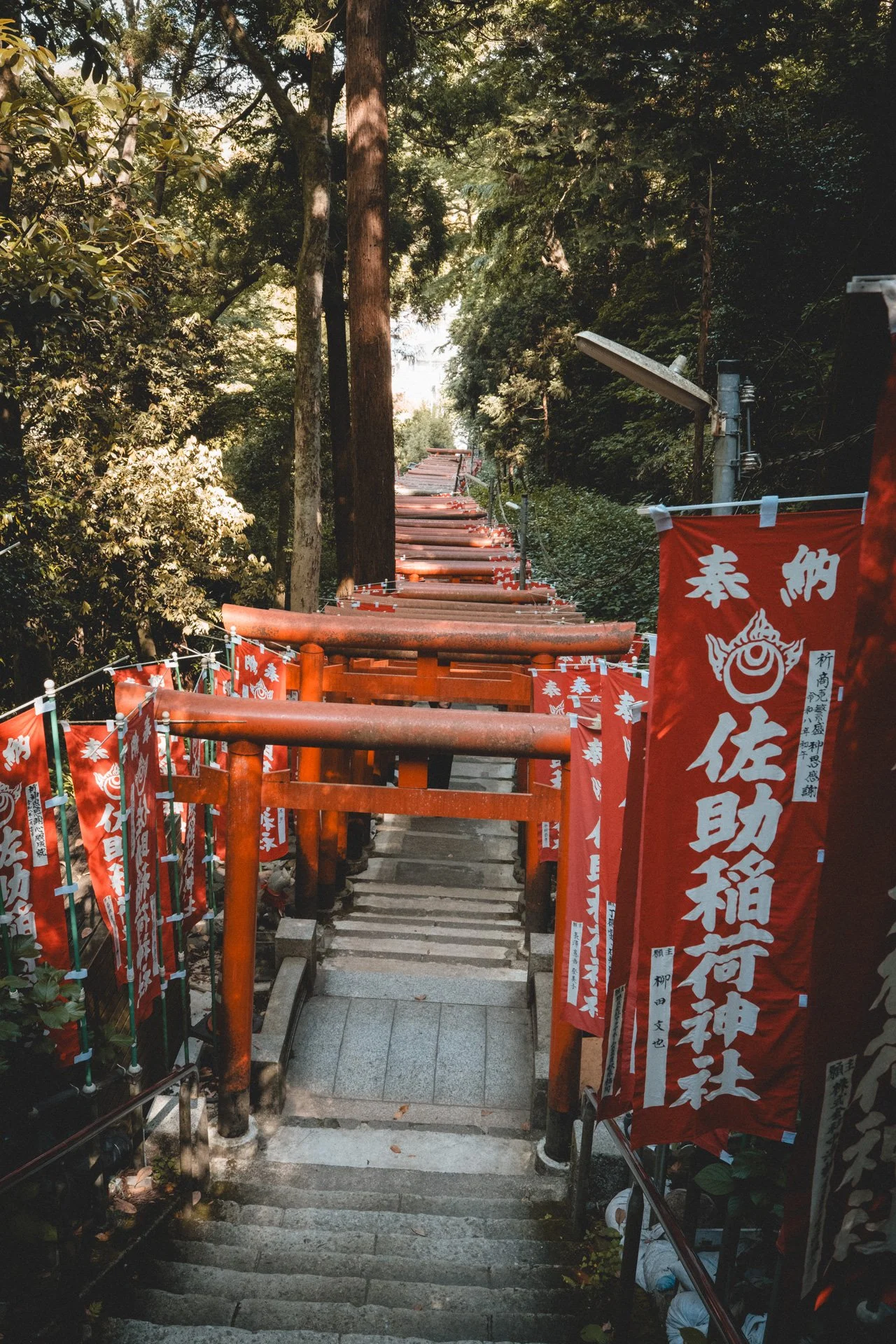 DSCF8690.jpg