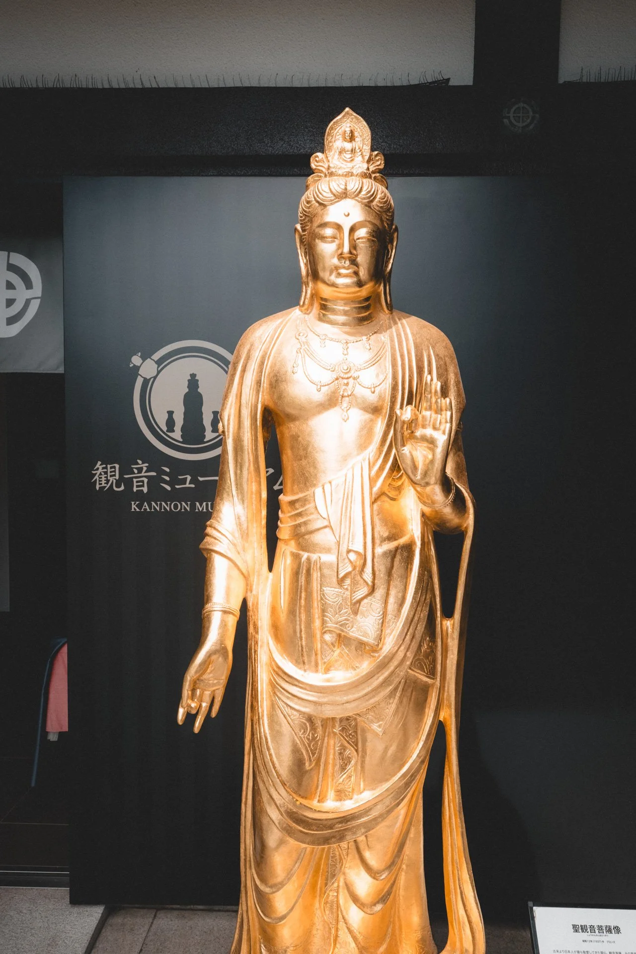 DSCF8350.jpg
