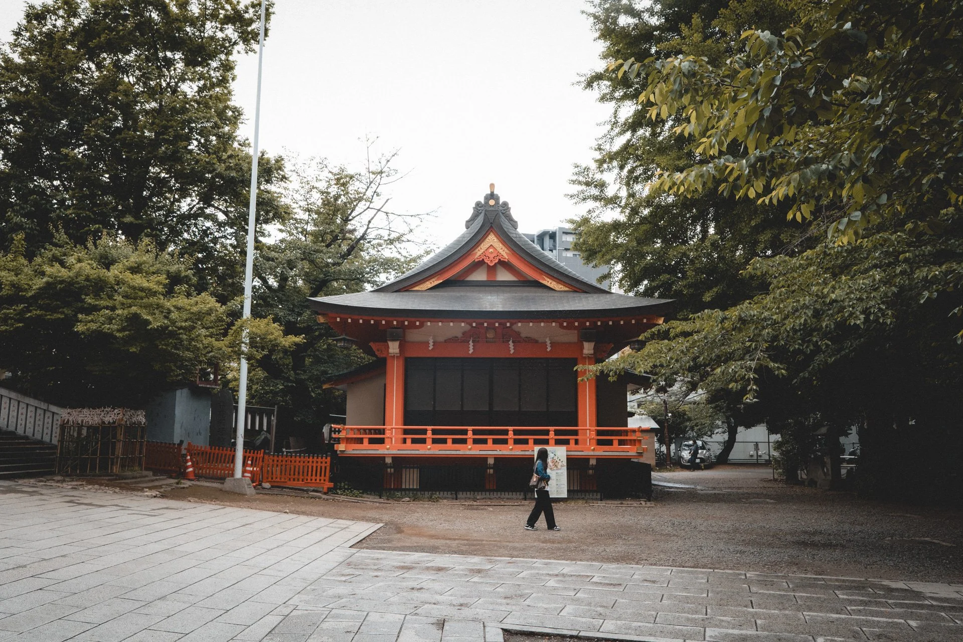 DSCF8185.jpg