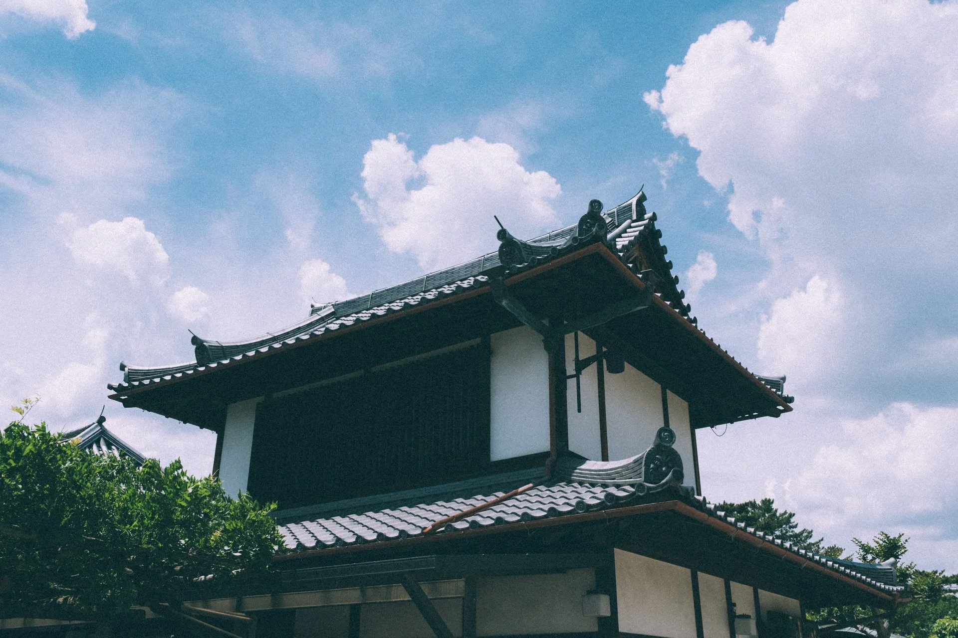 DSCF0539.jpg
