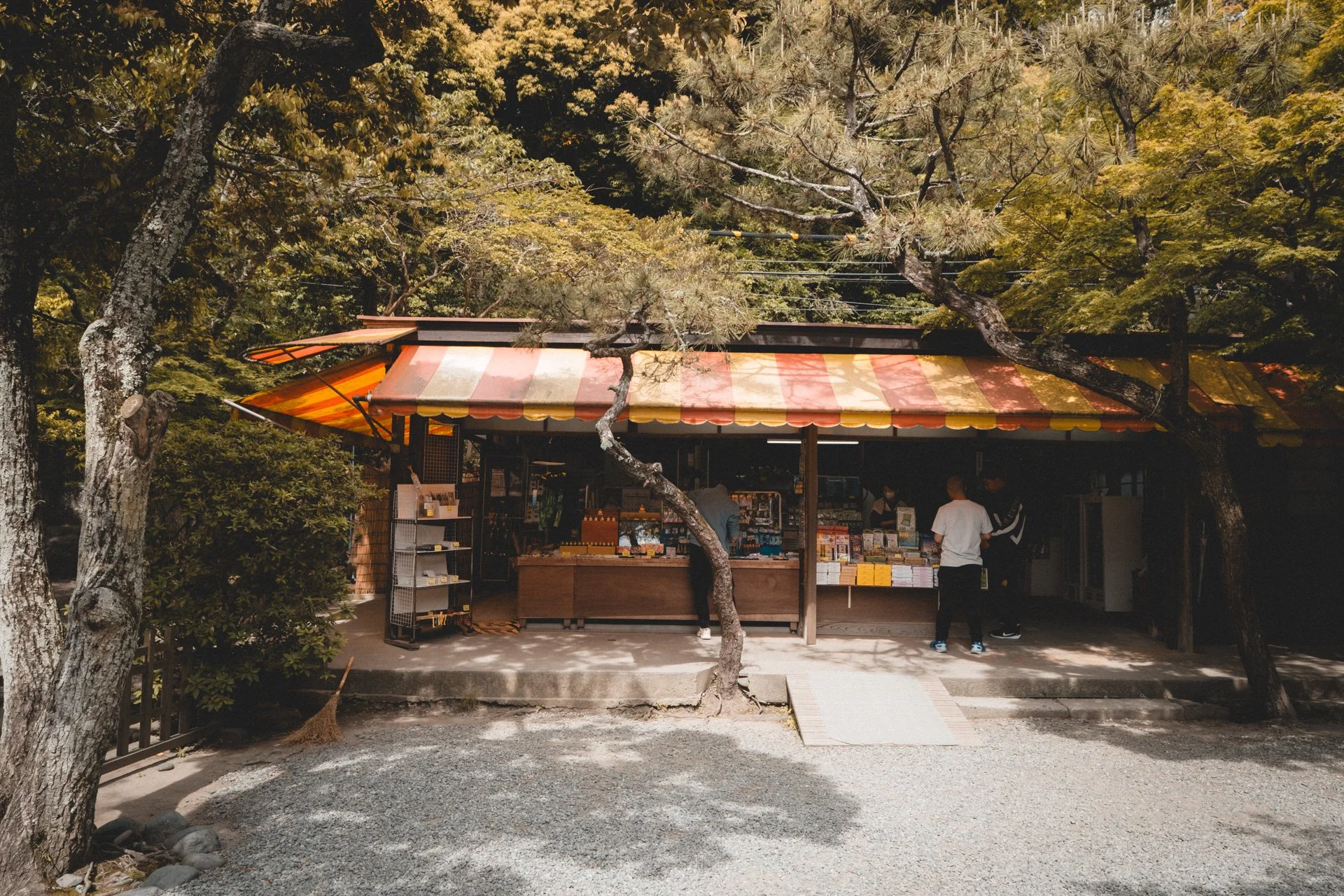 DSCF8311.jpg
