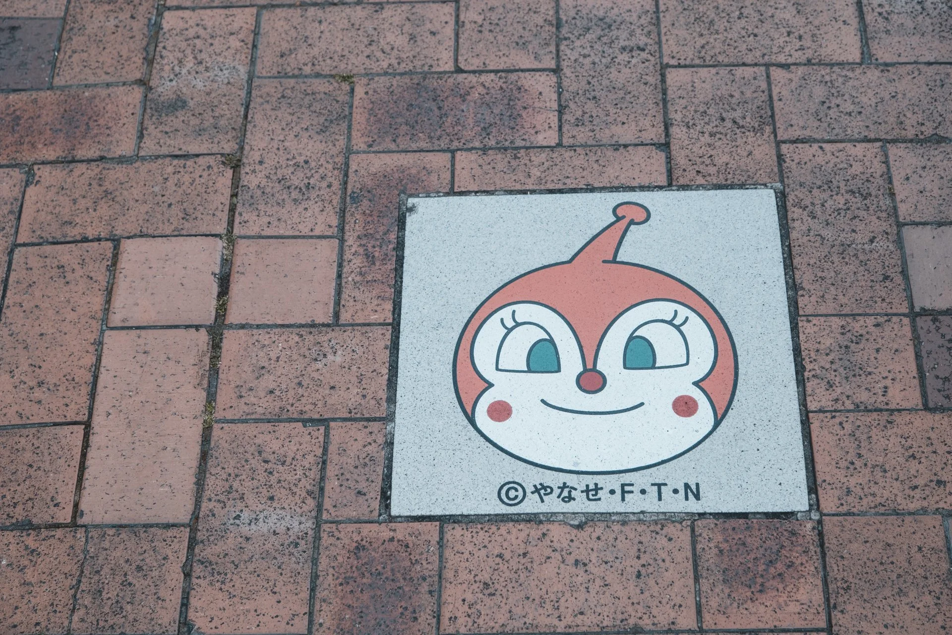 DSCF2114.jpg