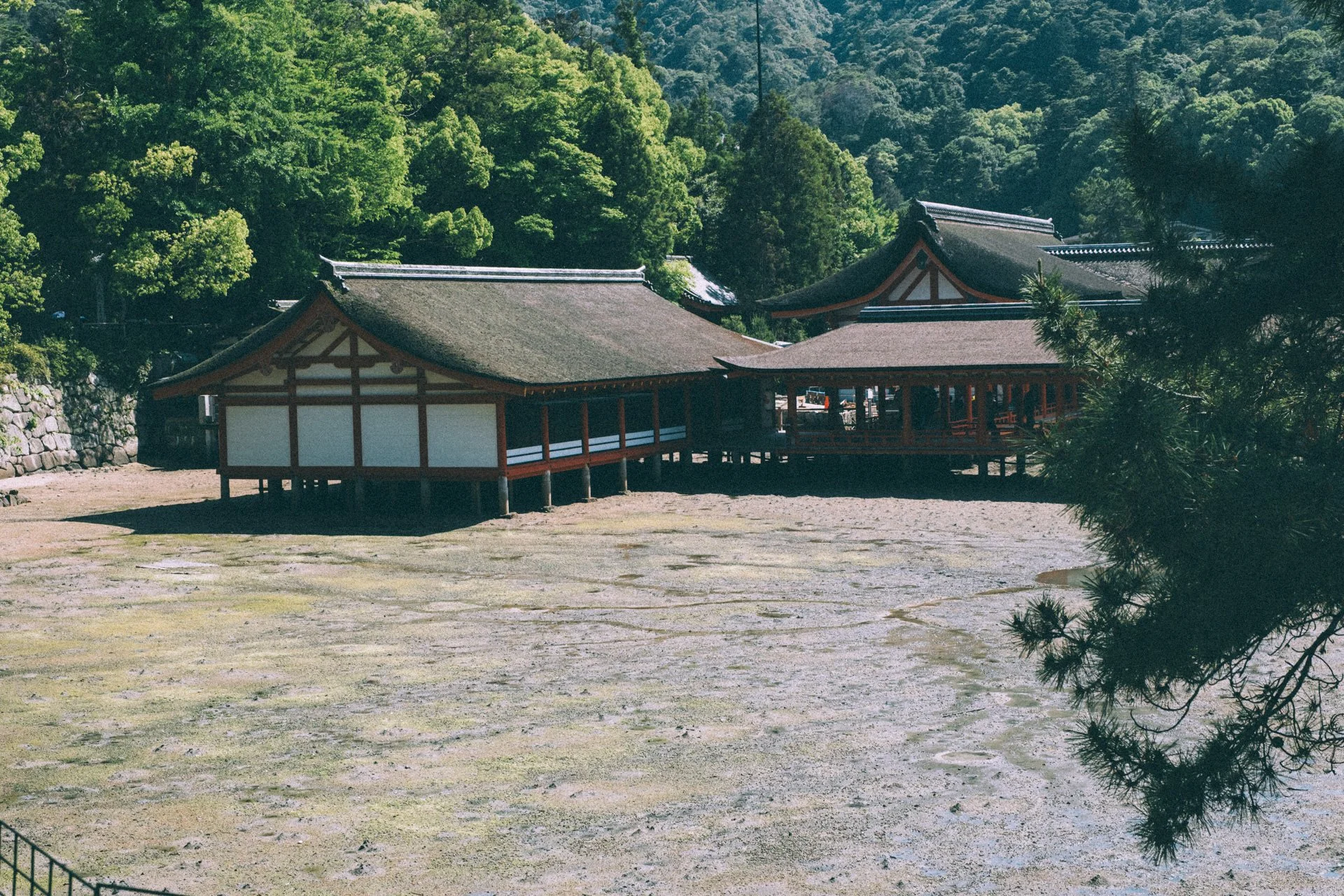 DSCF1743.jpg