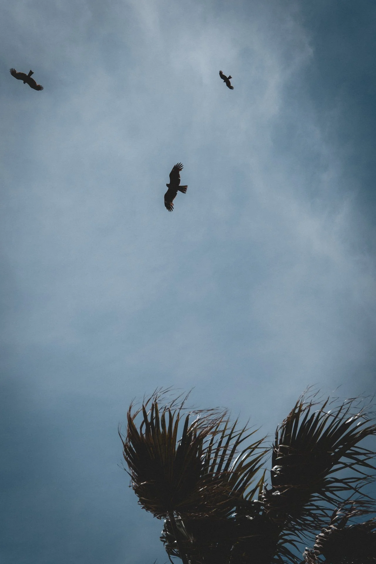 DSCF8570.jpg