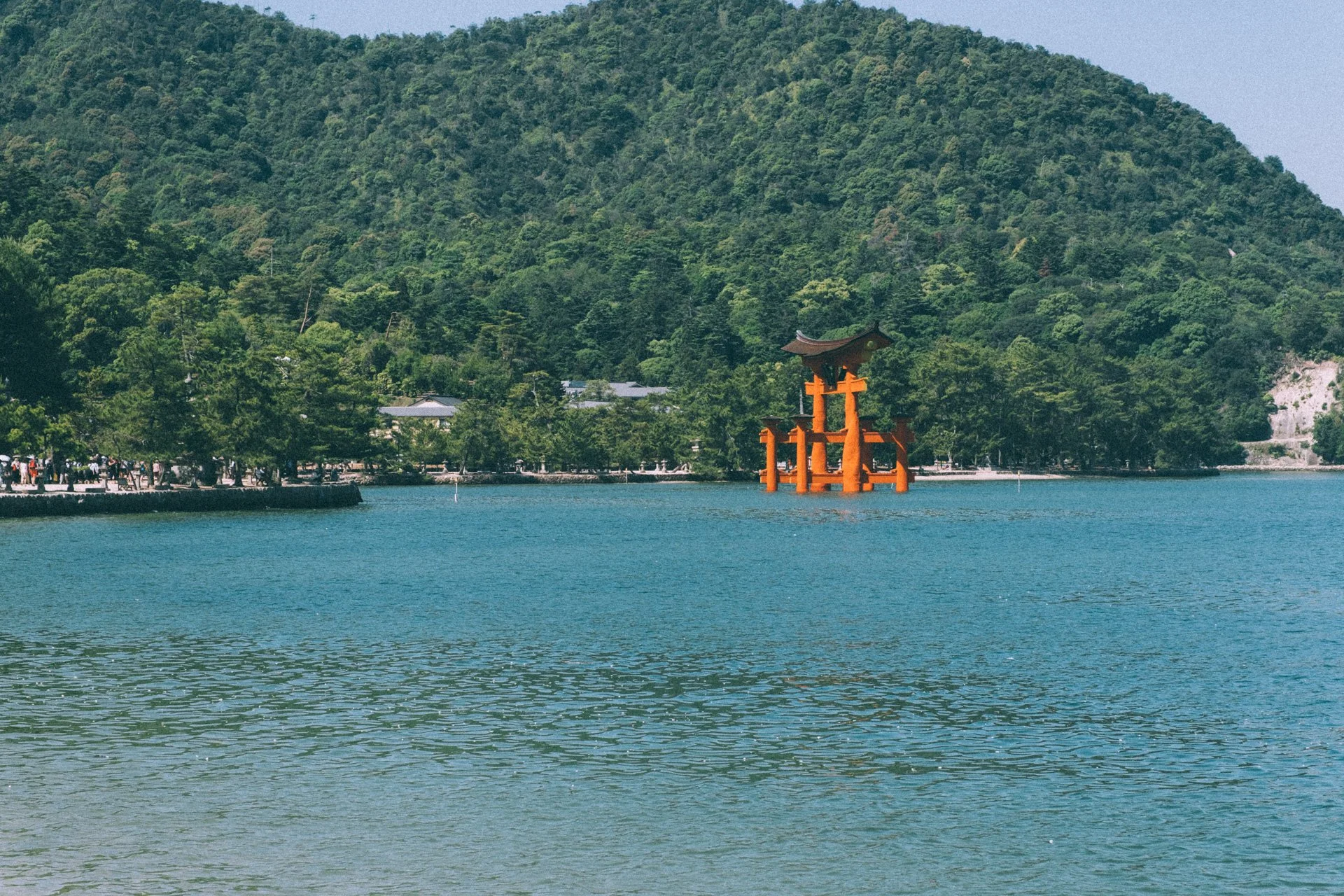 DSCF1516.jpg