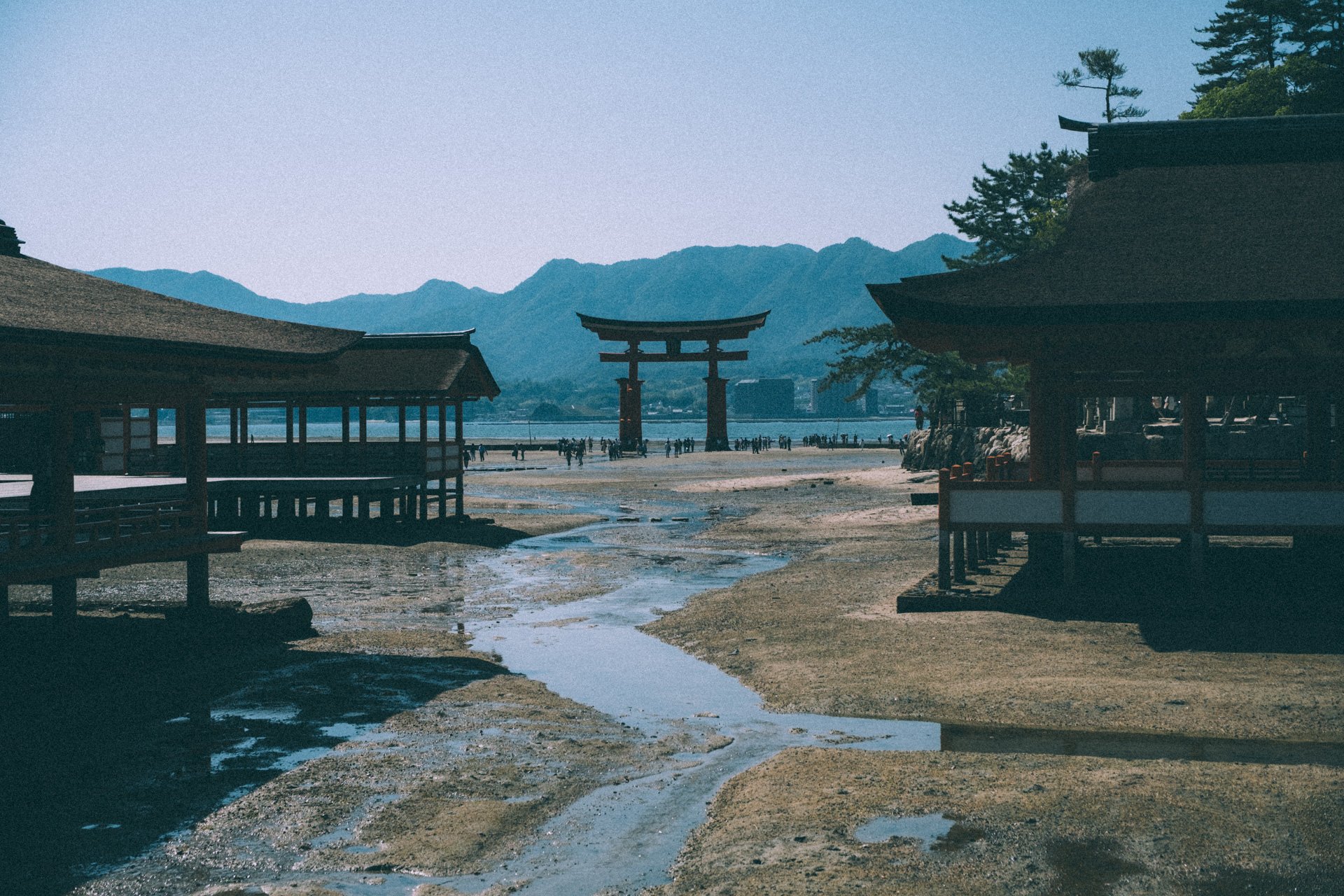DSCF1834.jpg