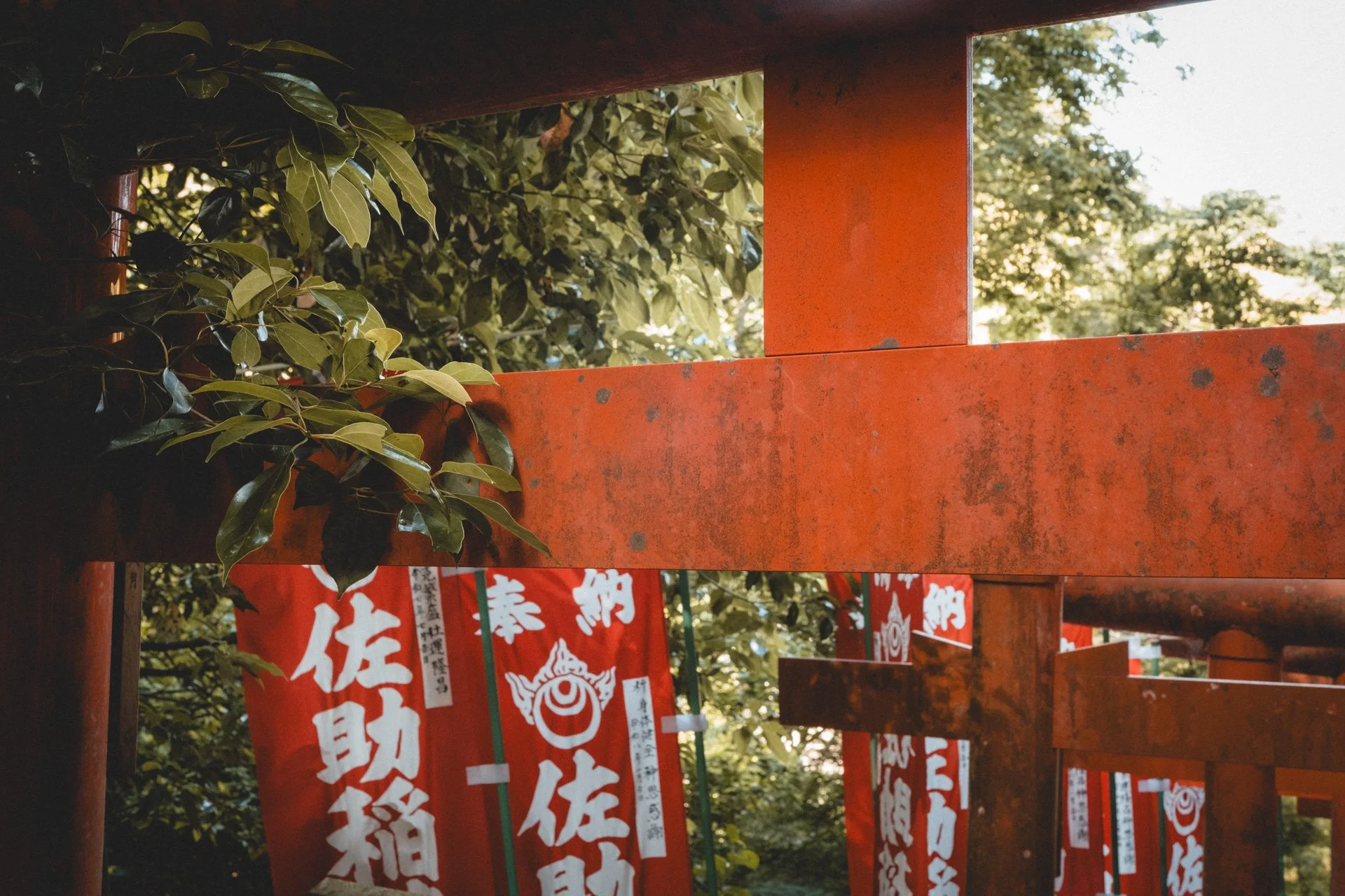 DSCF8741.jpg