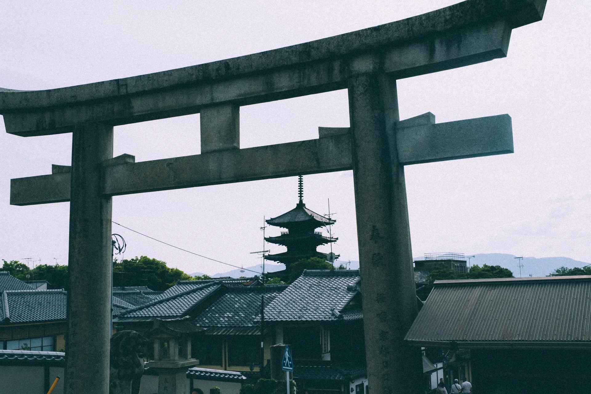 DSCF9618.jpg