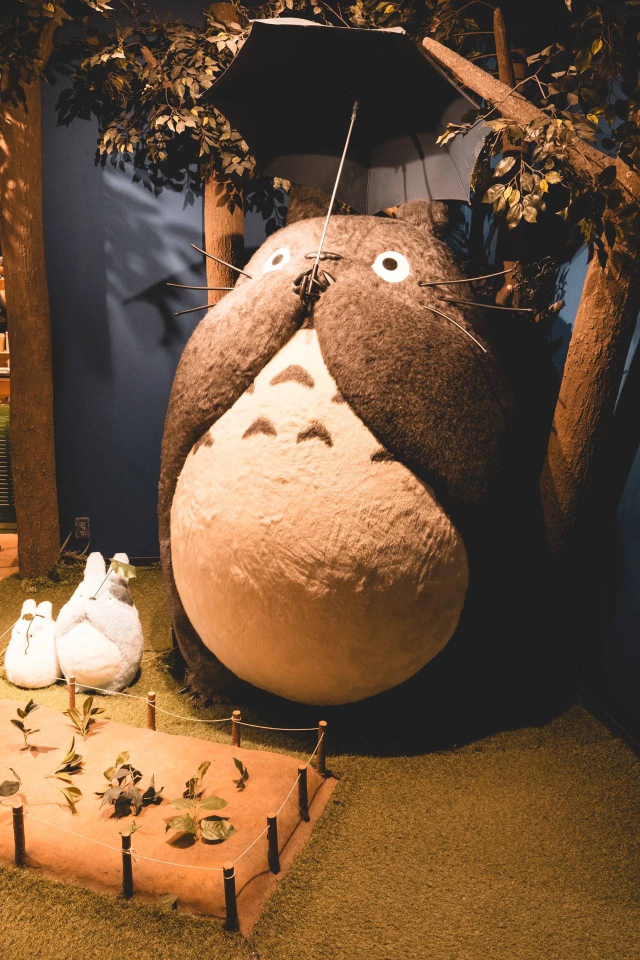 DSCF4085.jpg