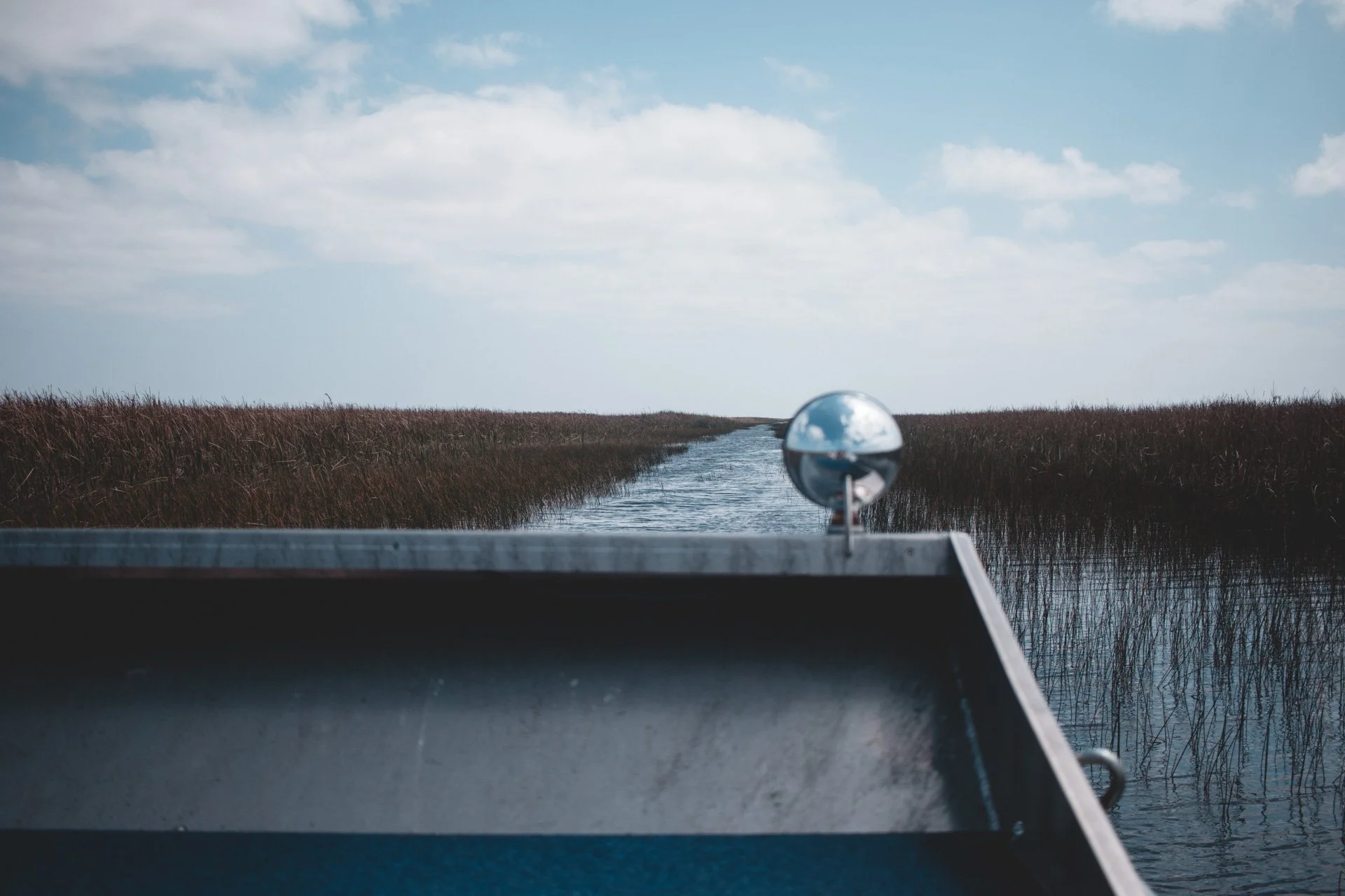 everglades-167.jpg