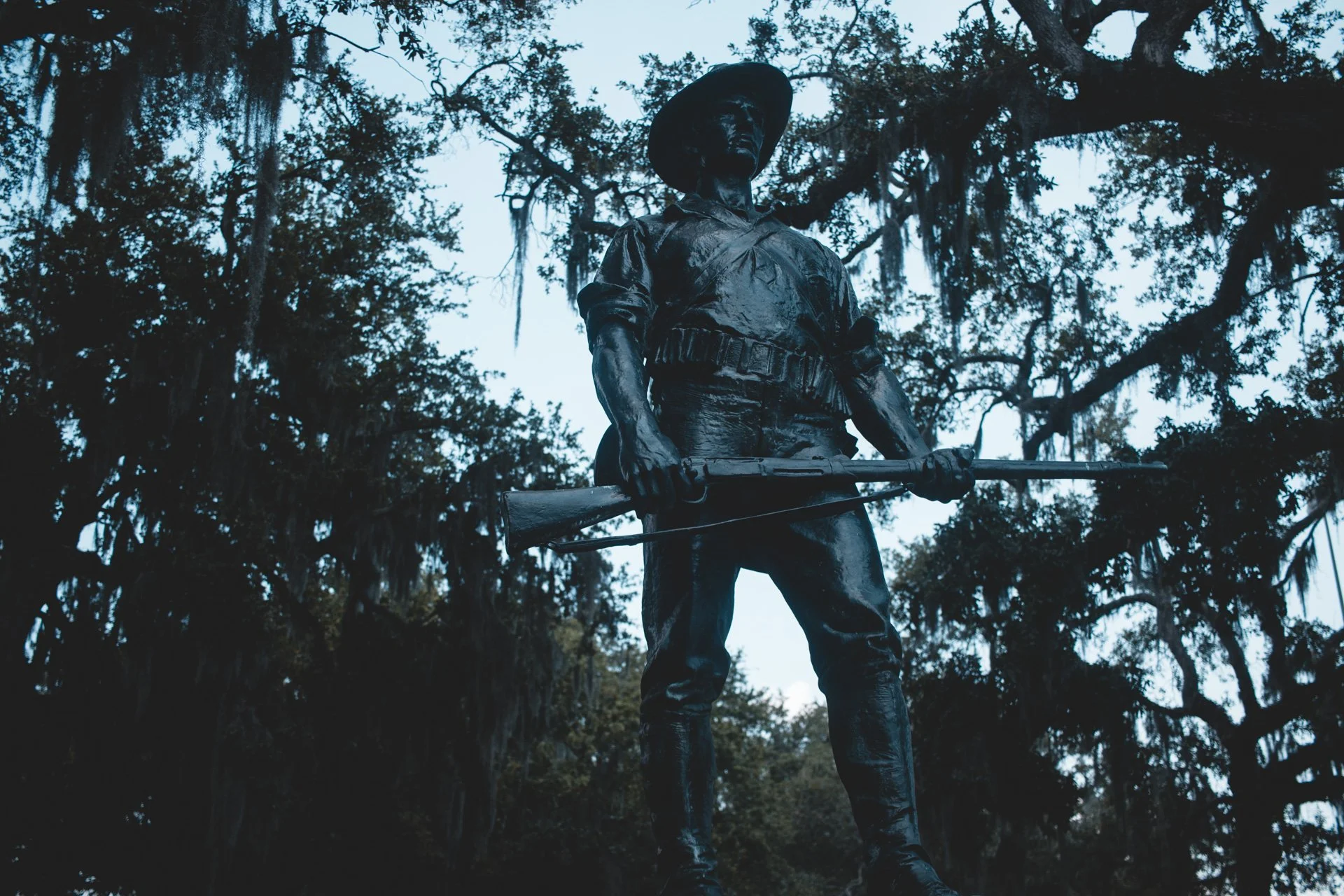 savannah-495.jpg