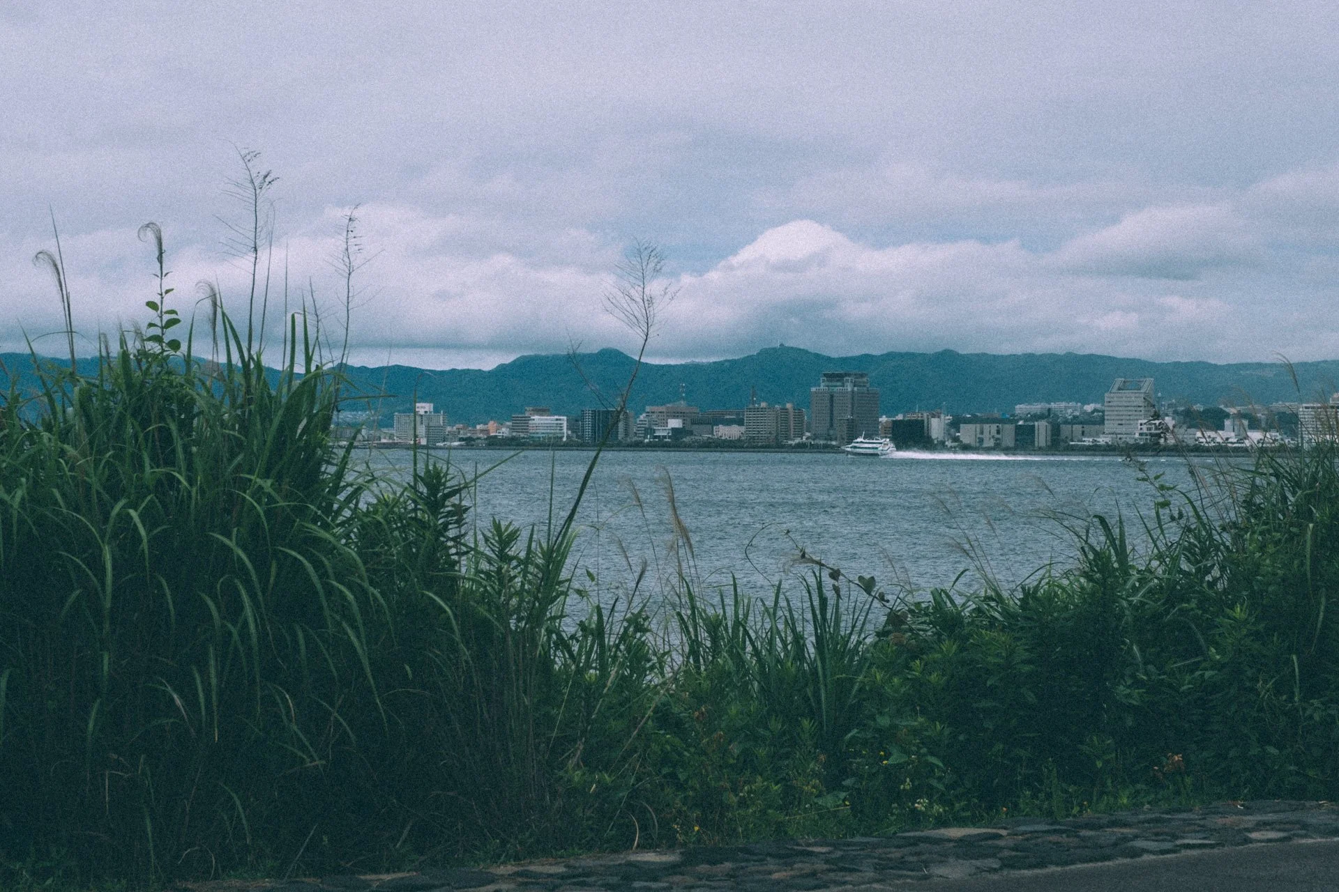 DSCF3558.jpg