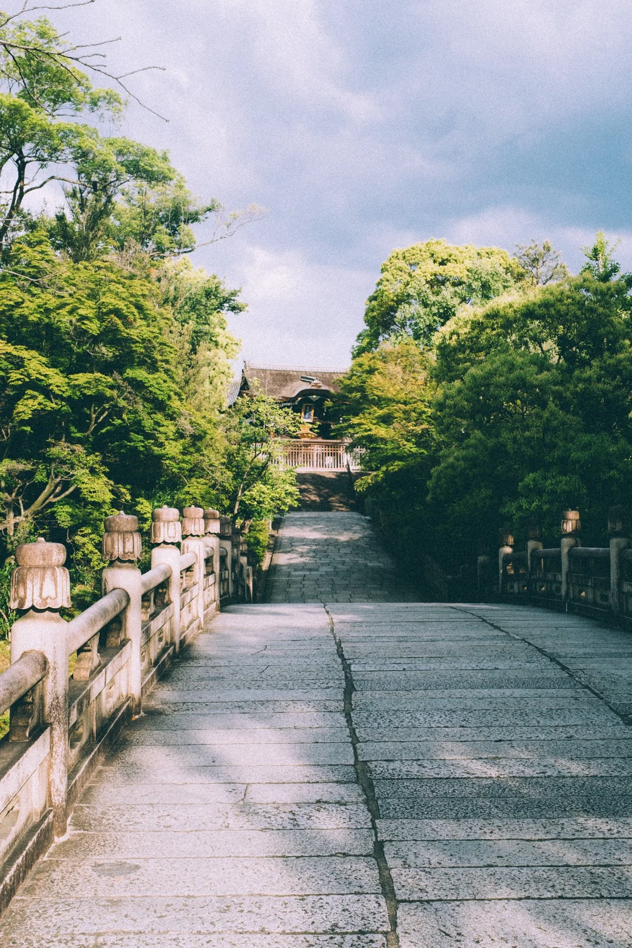 DSCF9774.jpg