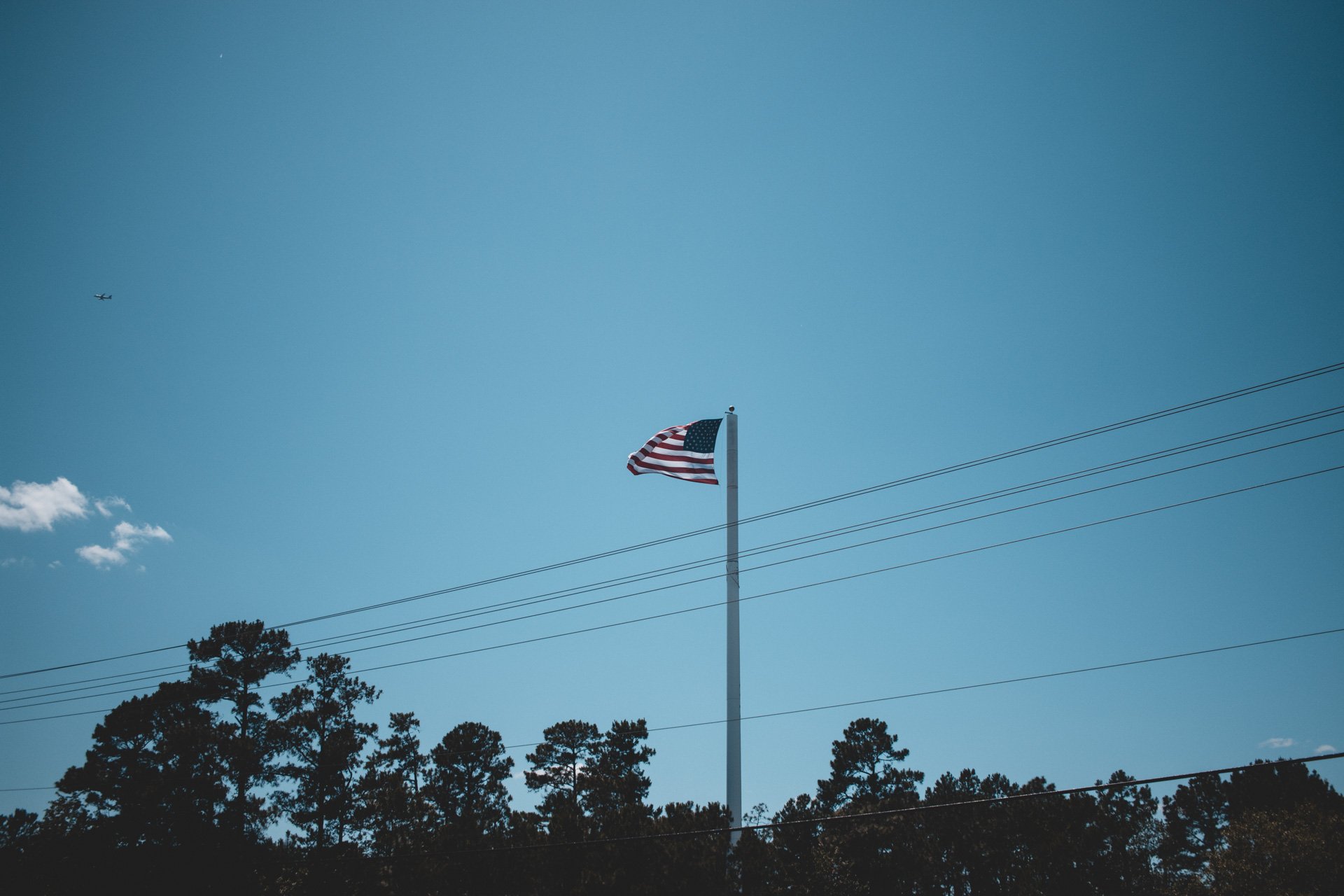 myrtle-300.jpg