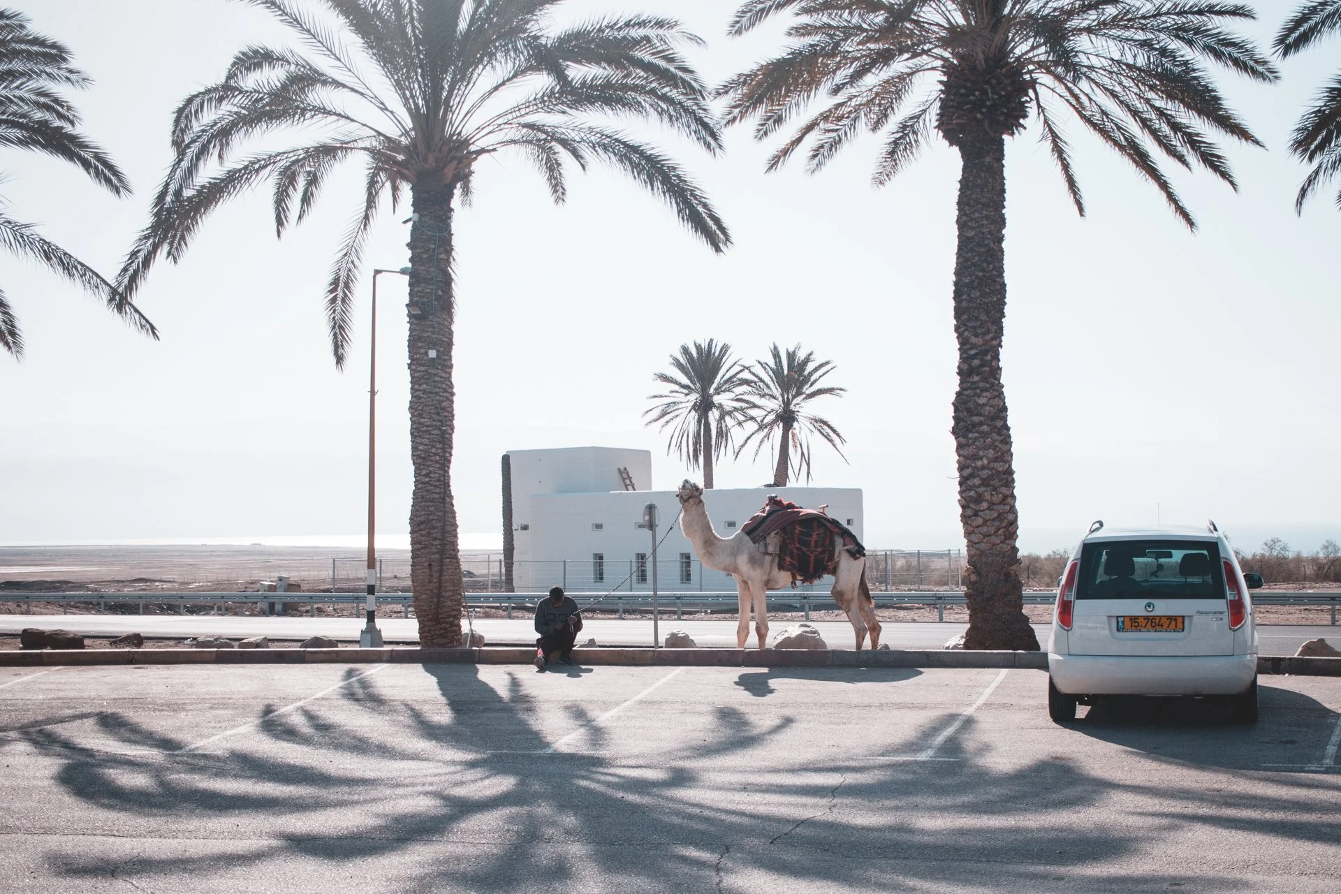 20180228-25092 - israel.jpg