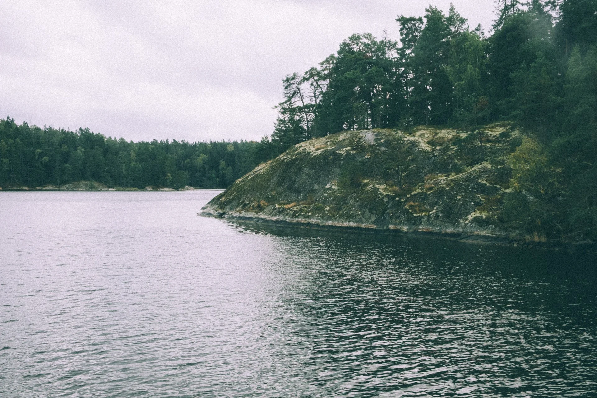 DSCF6488.jpg
