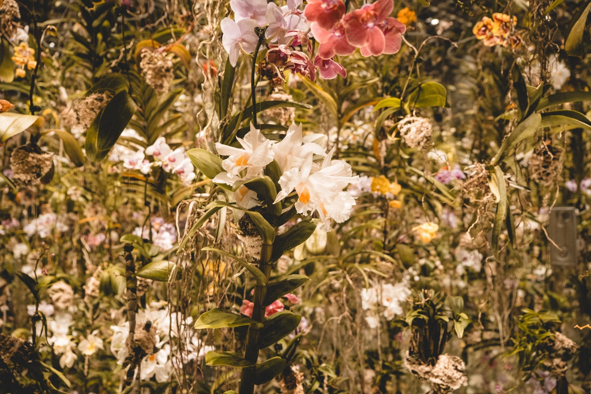 DSCF7281.jpg