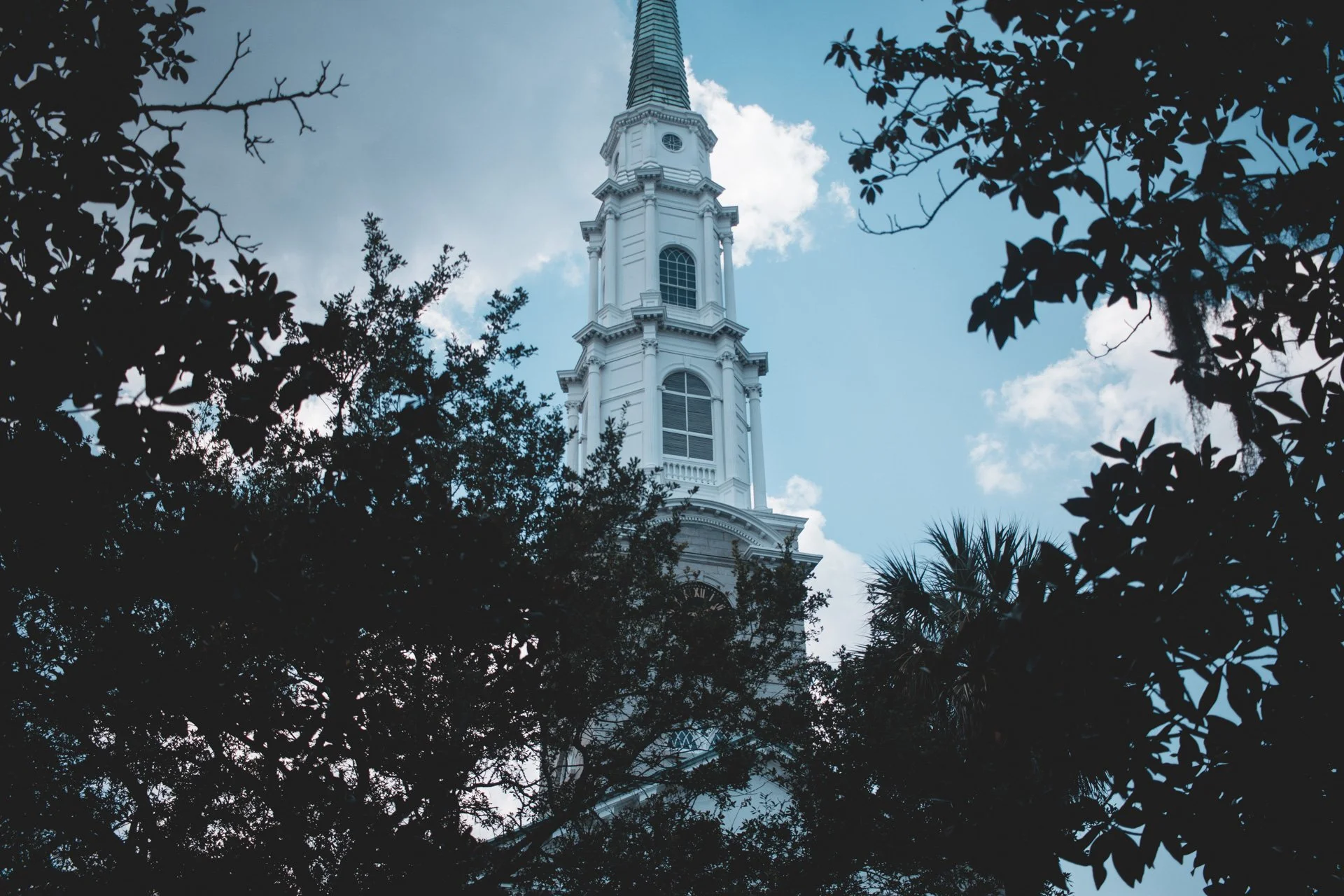 savannah-498.jpg