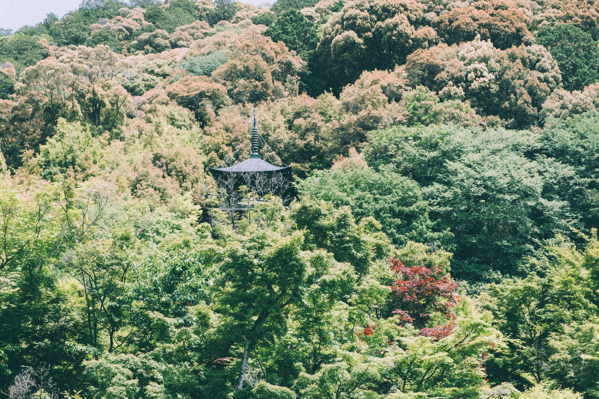 DSCF1054.jpg