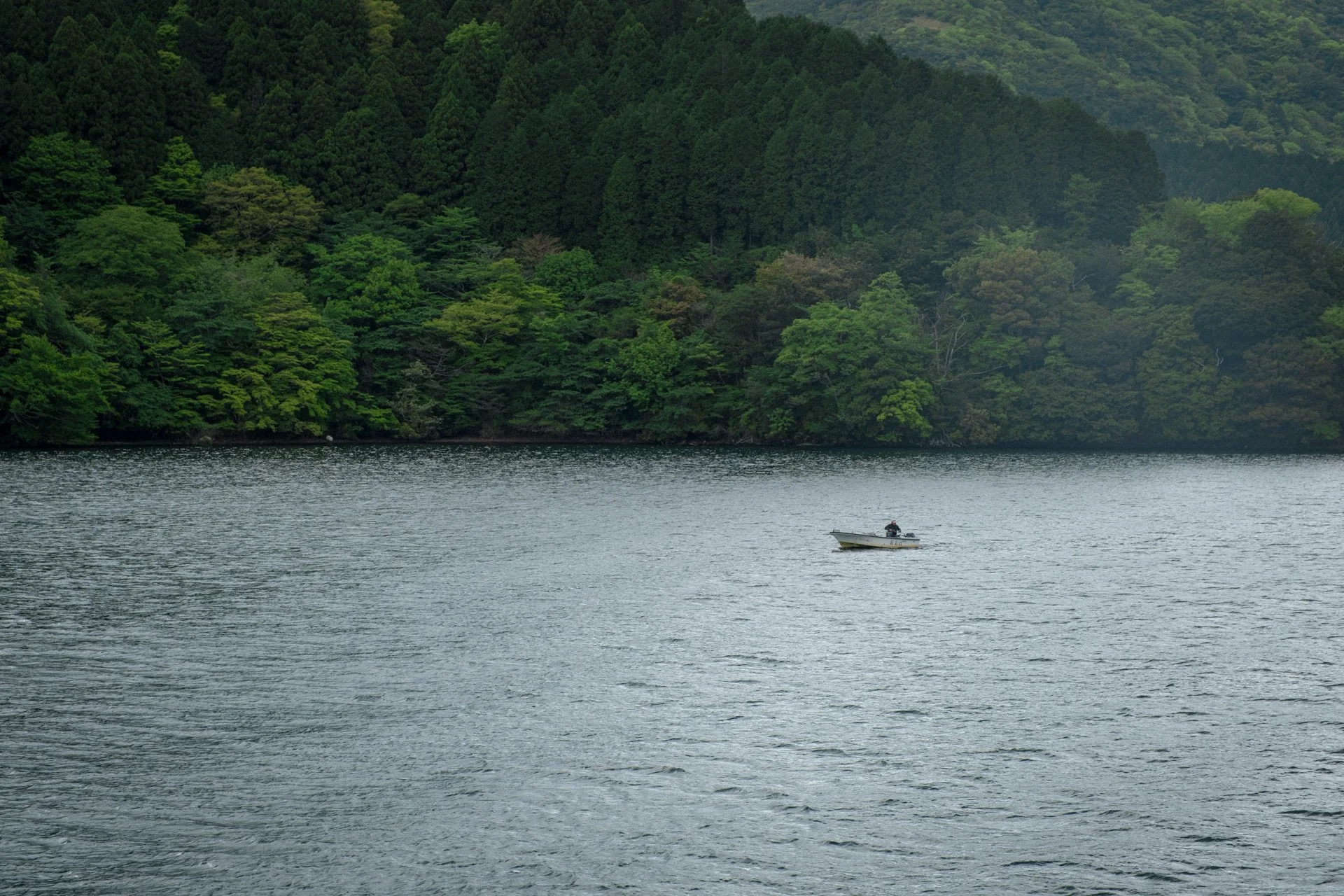 DSCF9352.jpg
