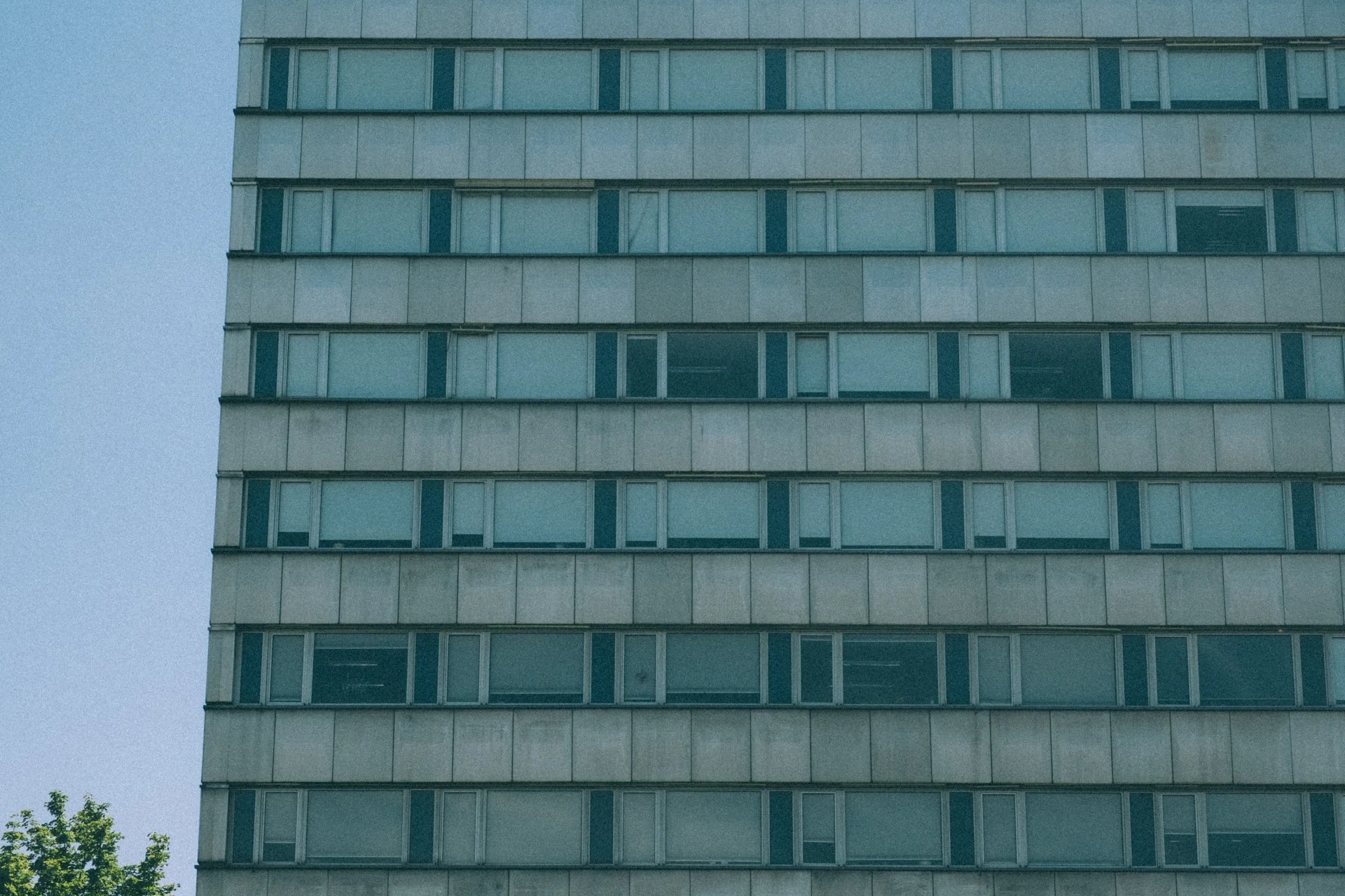 DSCF0373.jpg