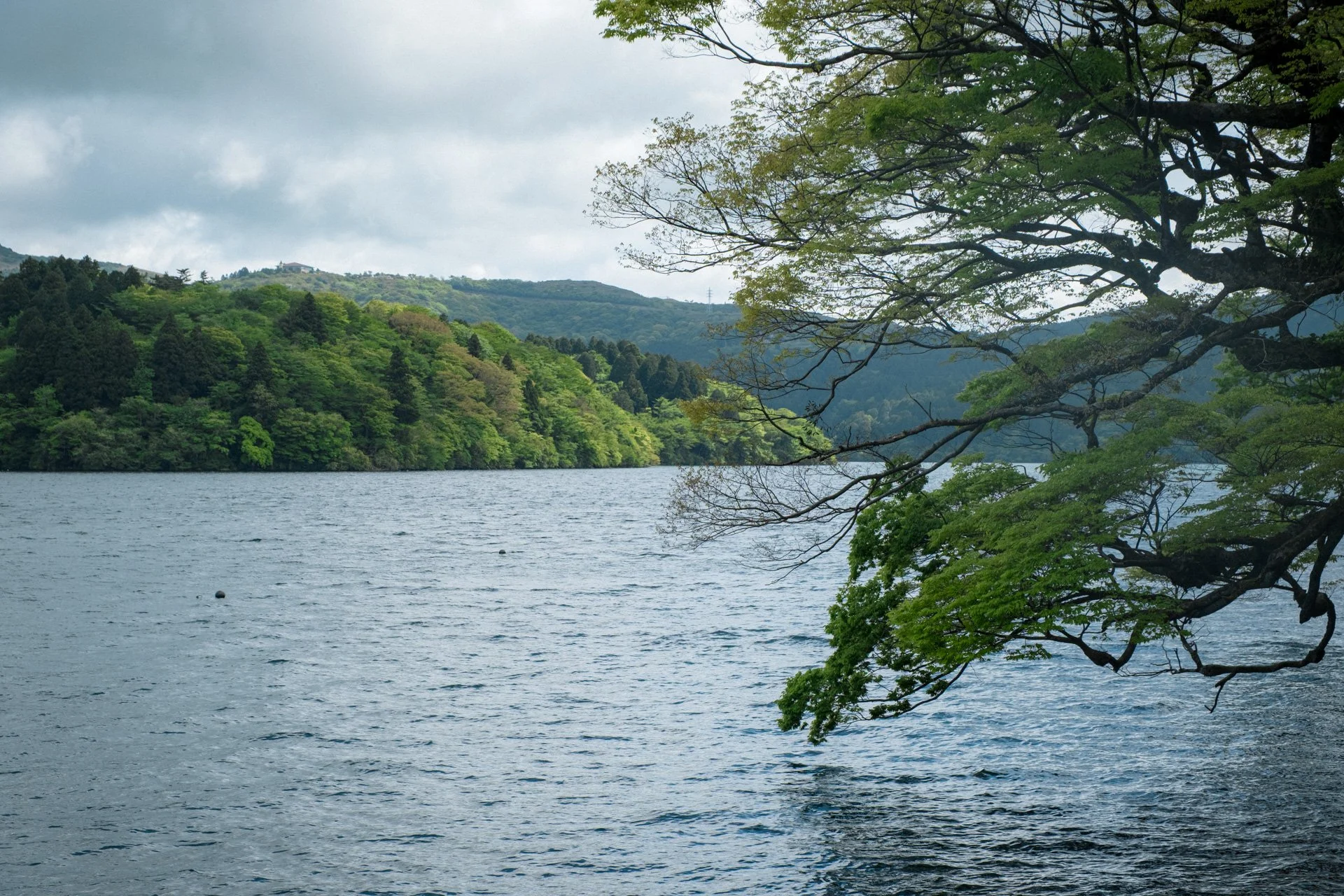 DSCF9209.jpg