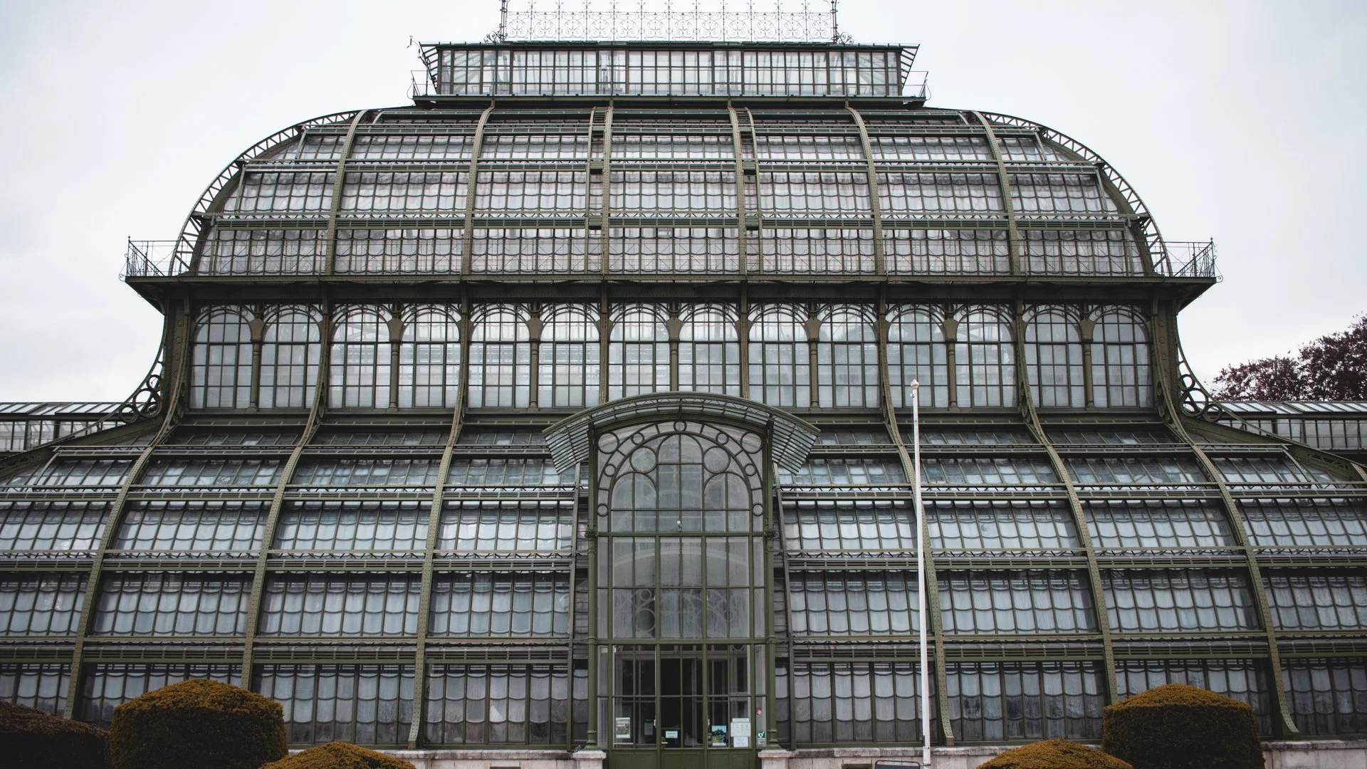IMG_6980.jpg