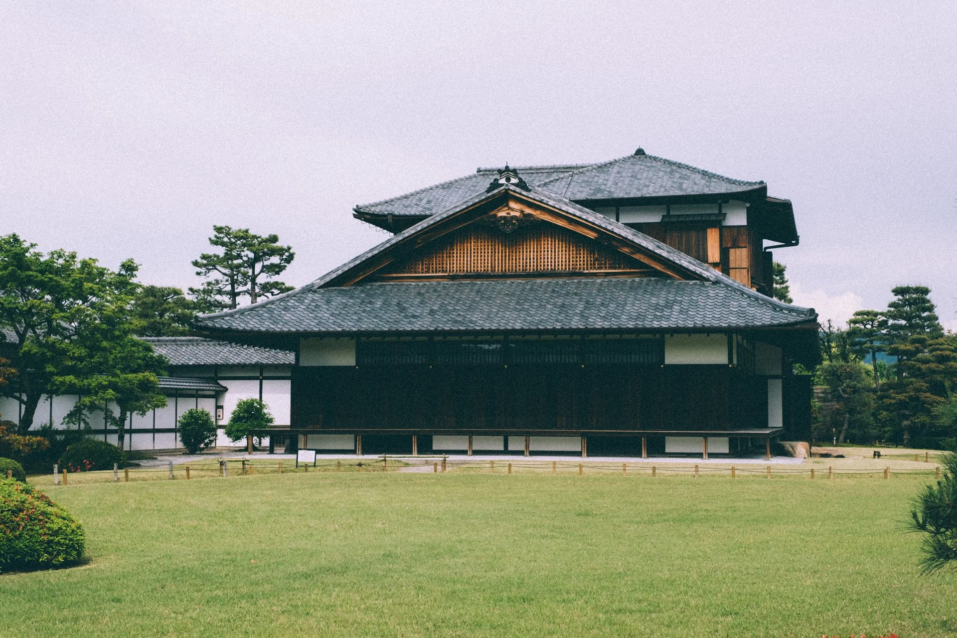 DSCF0239.jpg