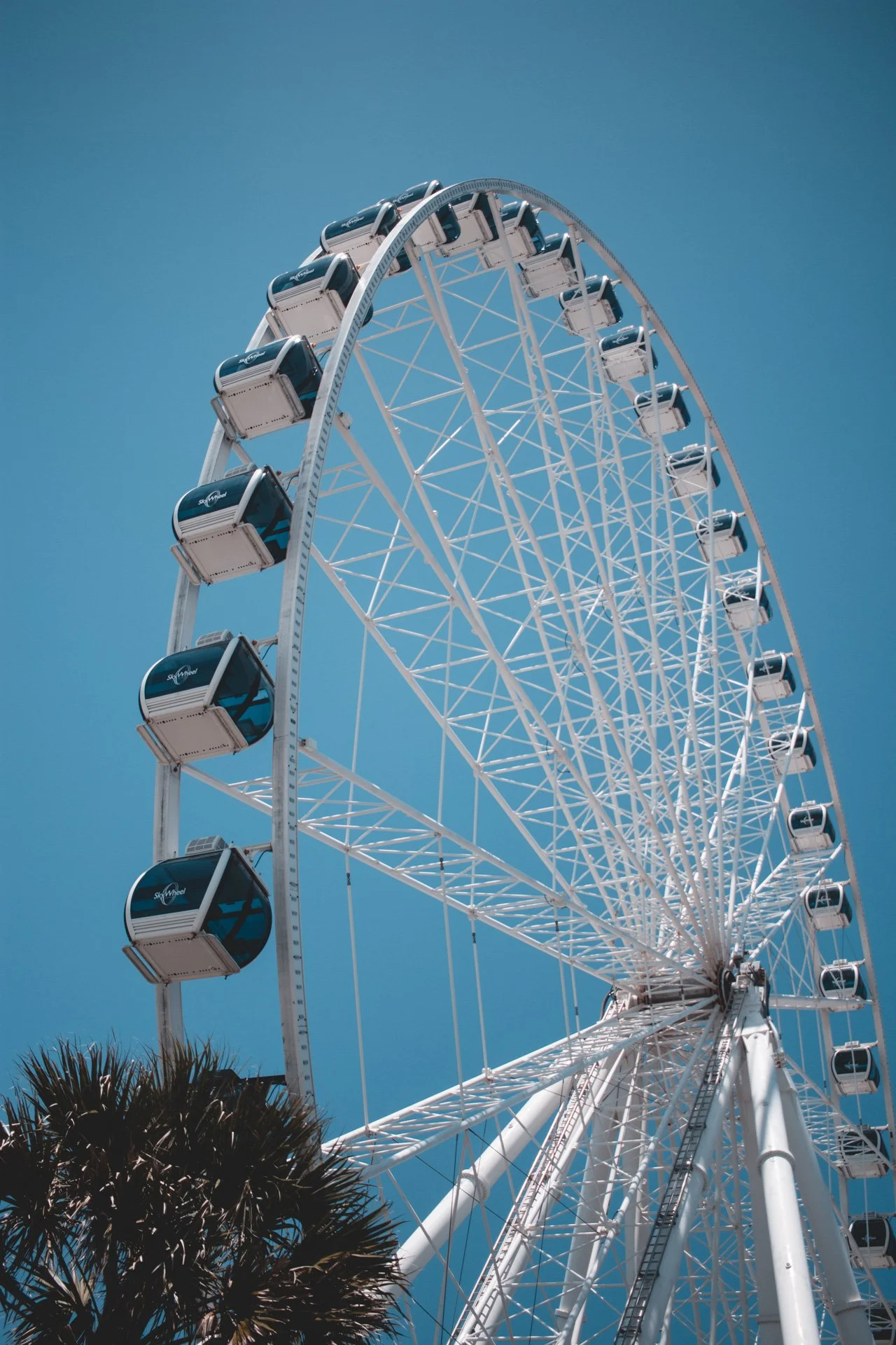 myrtle-290.jpg