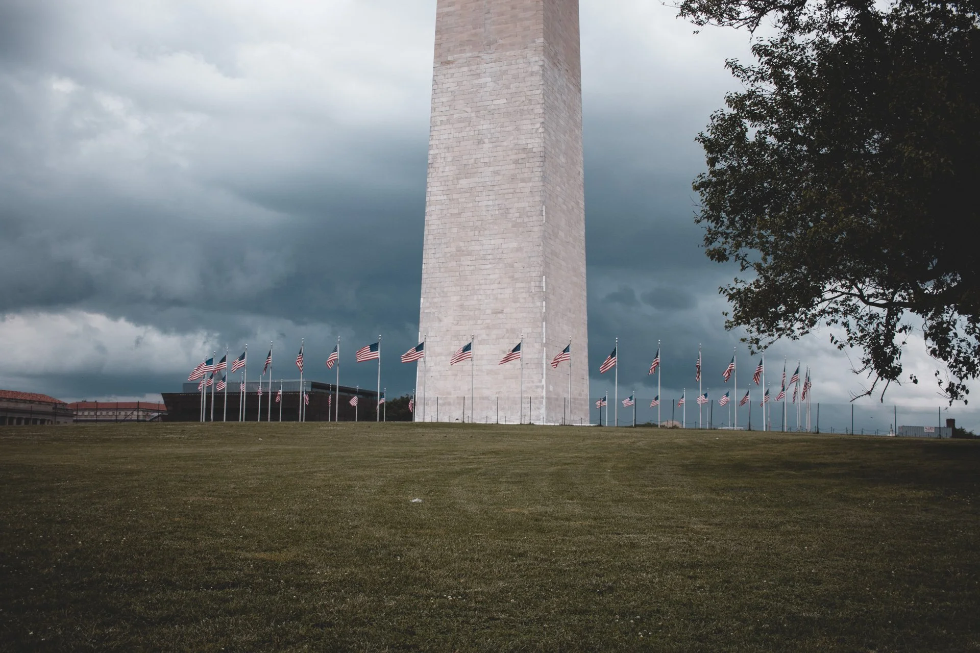 washington-556.jpg