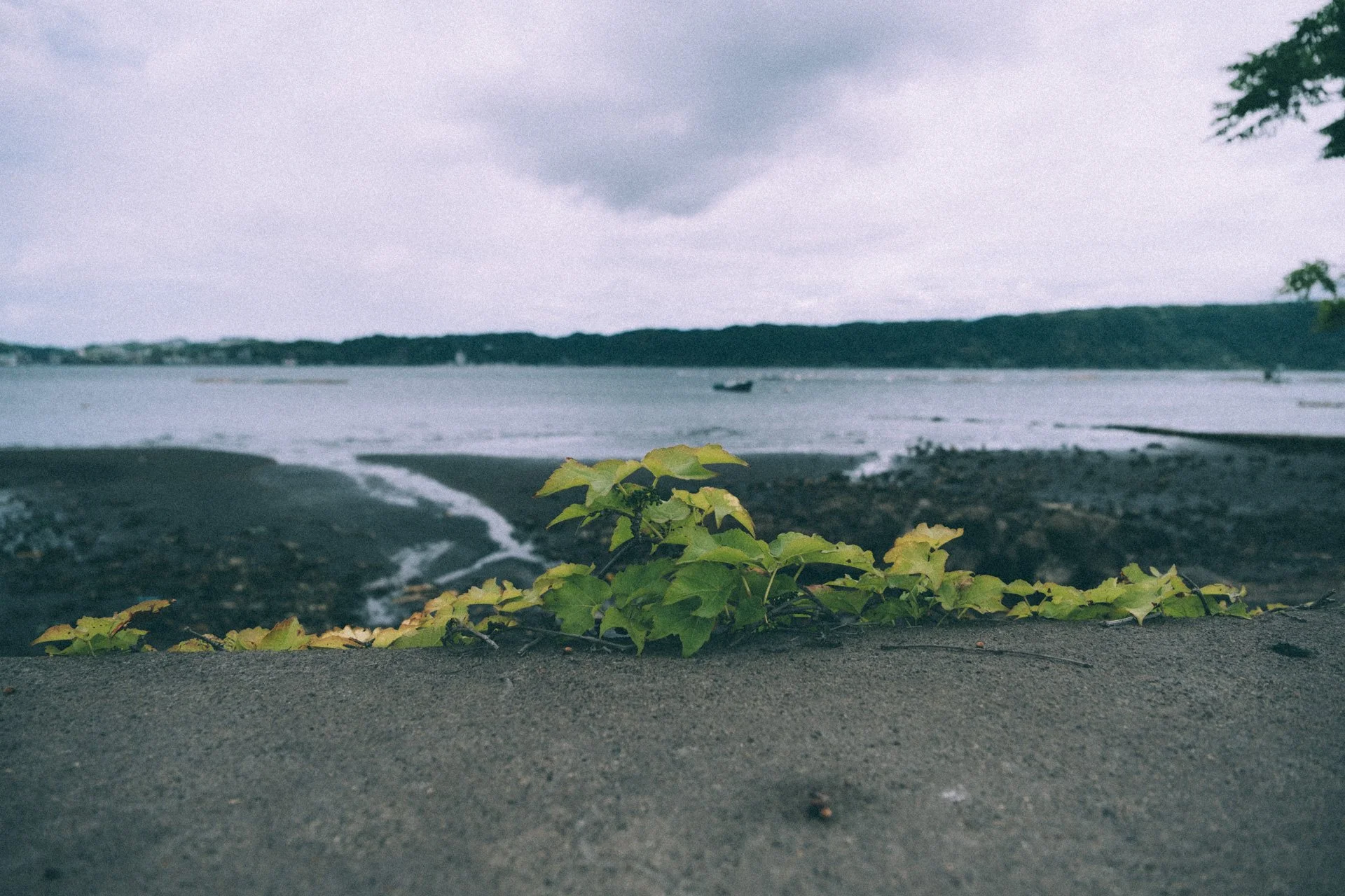 DSCF3690.jpg
