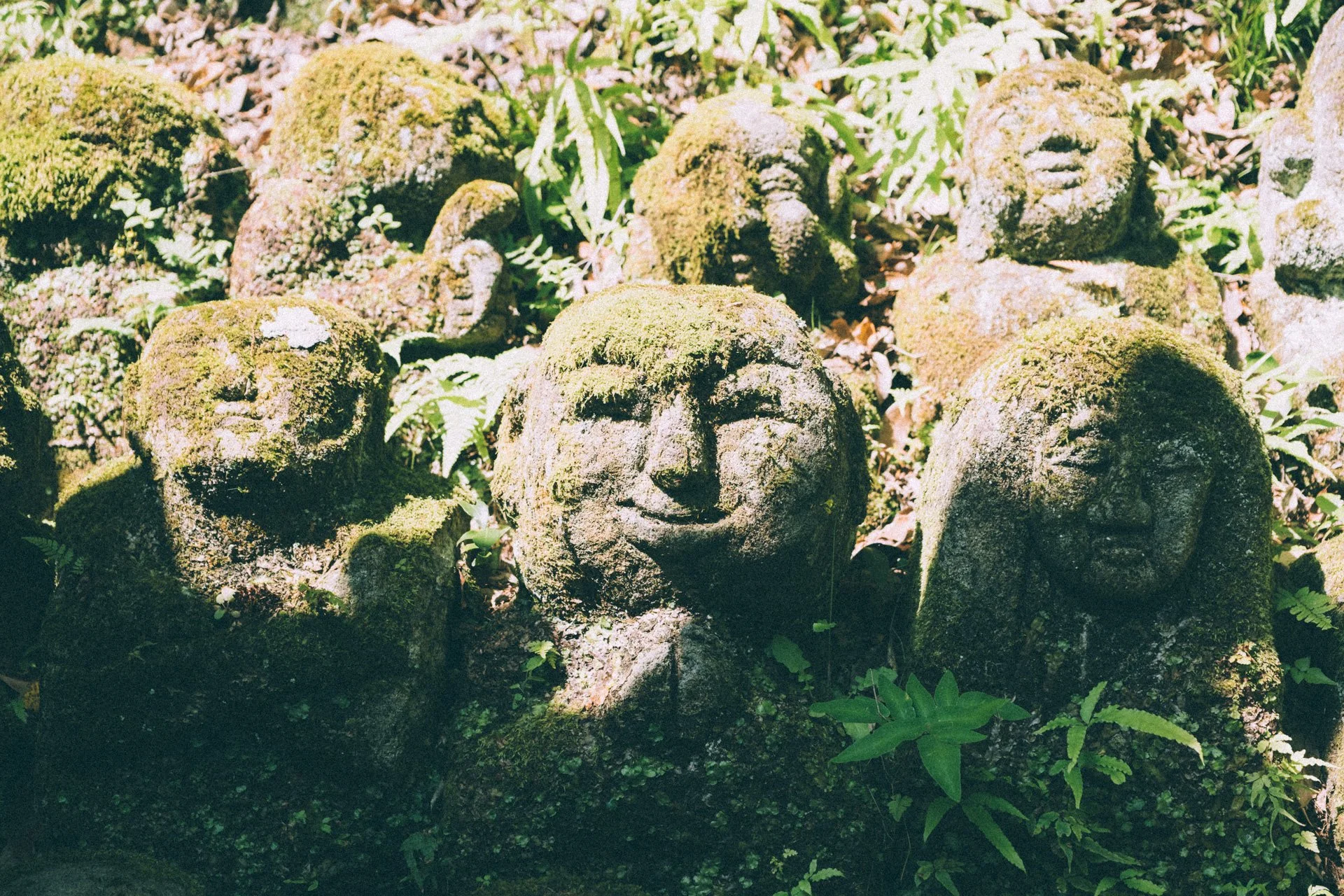 DSCF0726.jpg