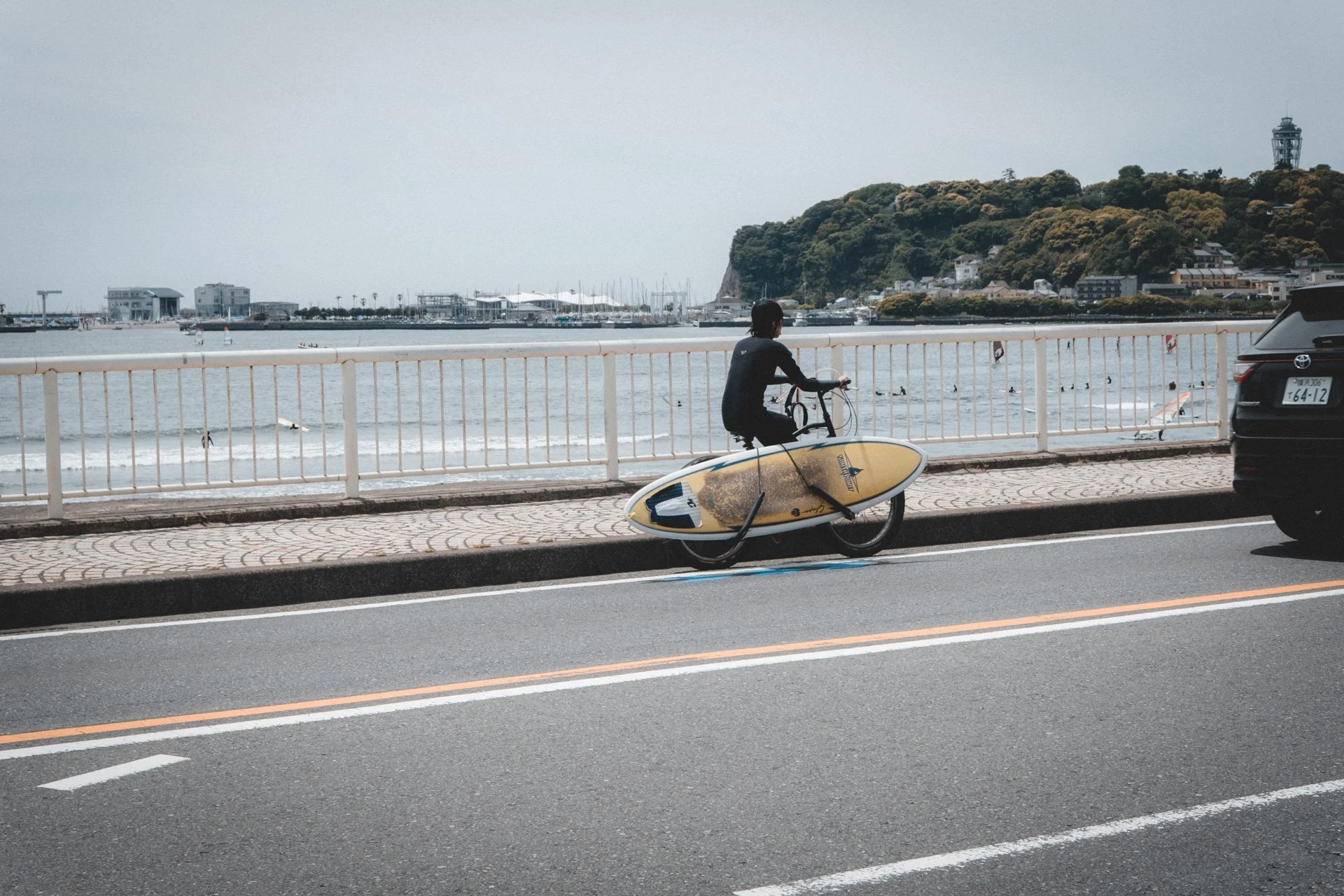 DSCF8530.jpg