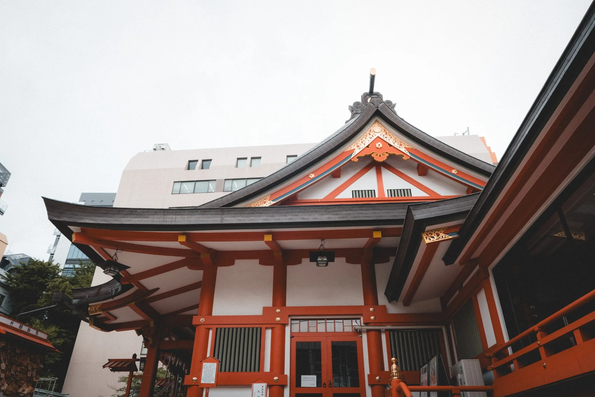 DSCF8190.jpg