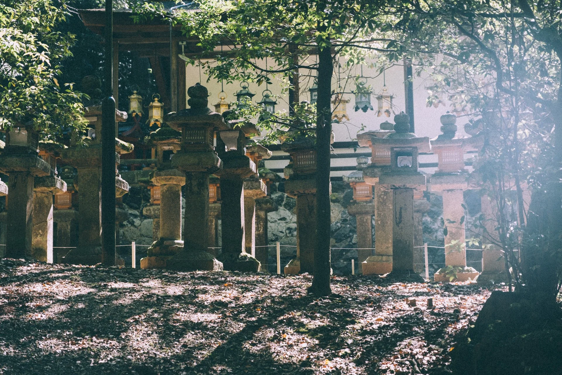 Nara (奈良)