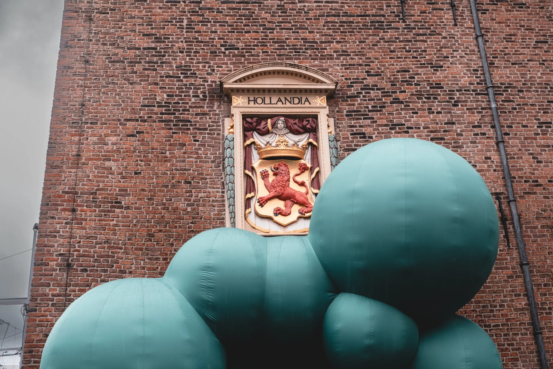 DSCF4211.jpg
