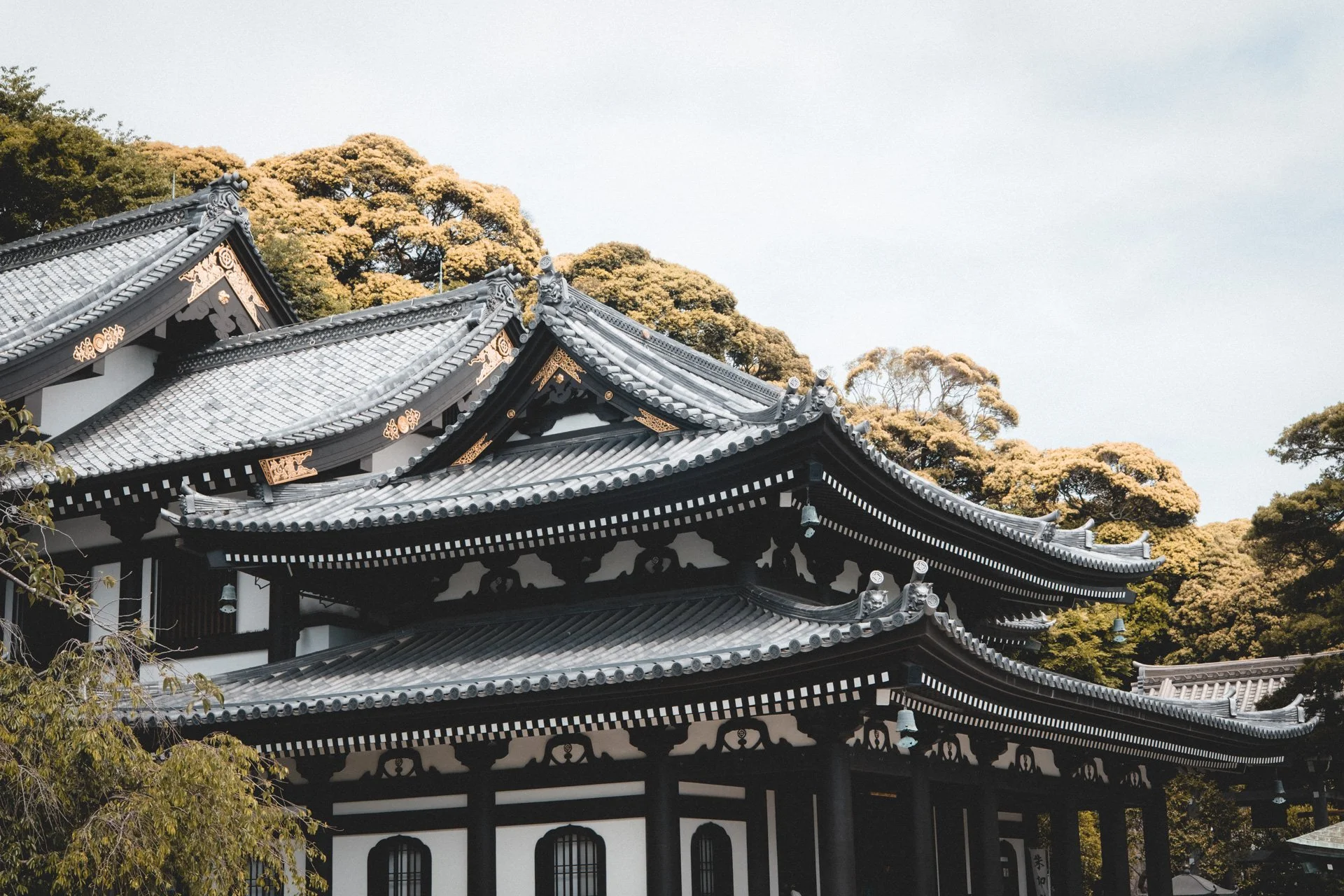 DSCF8364.jpg