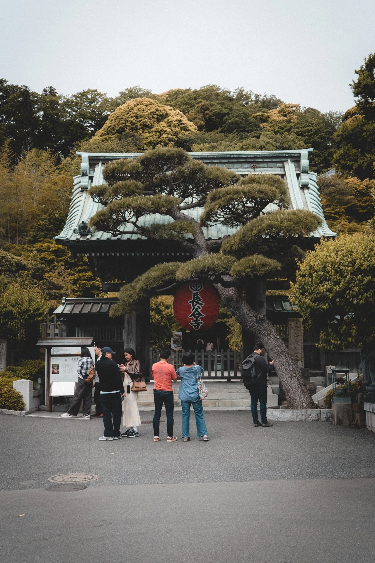 DSCF8315.jpg