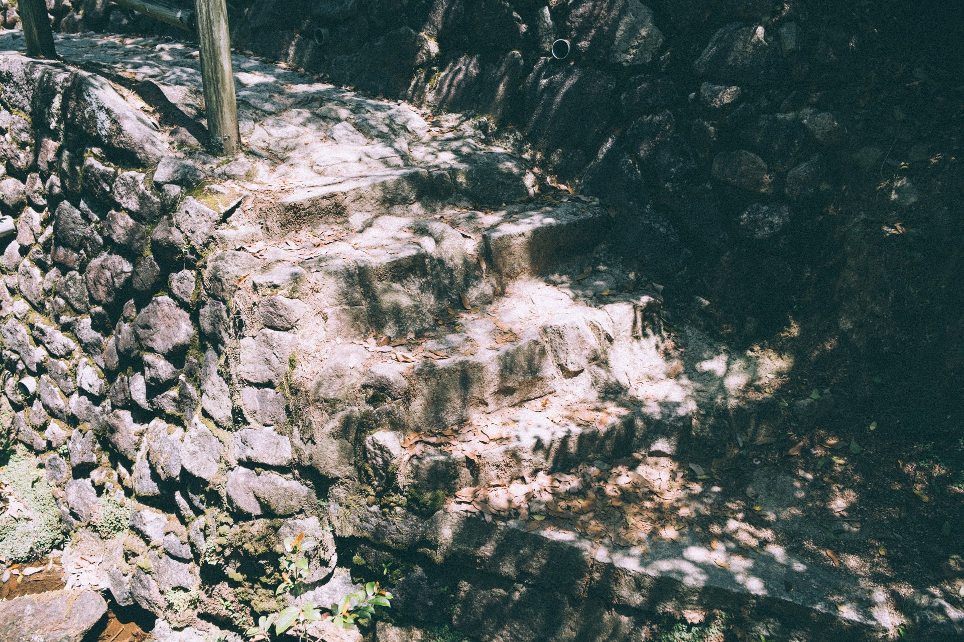 DSCF1652.jpg
