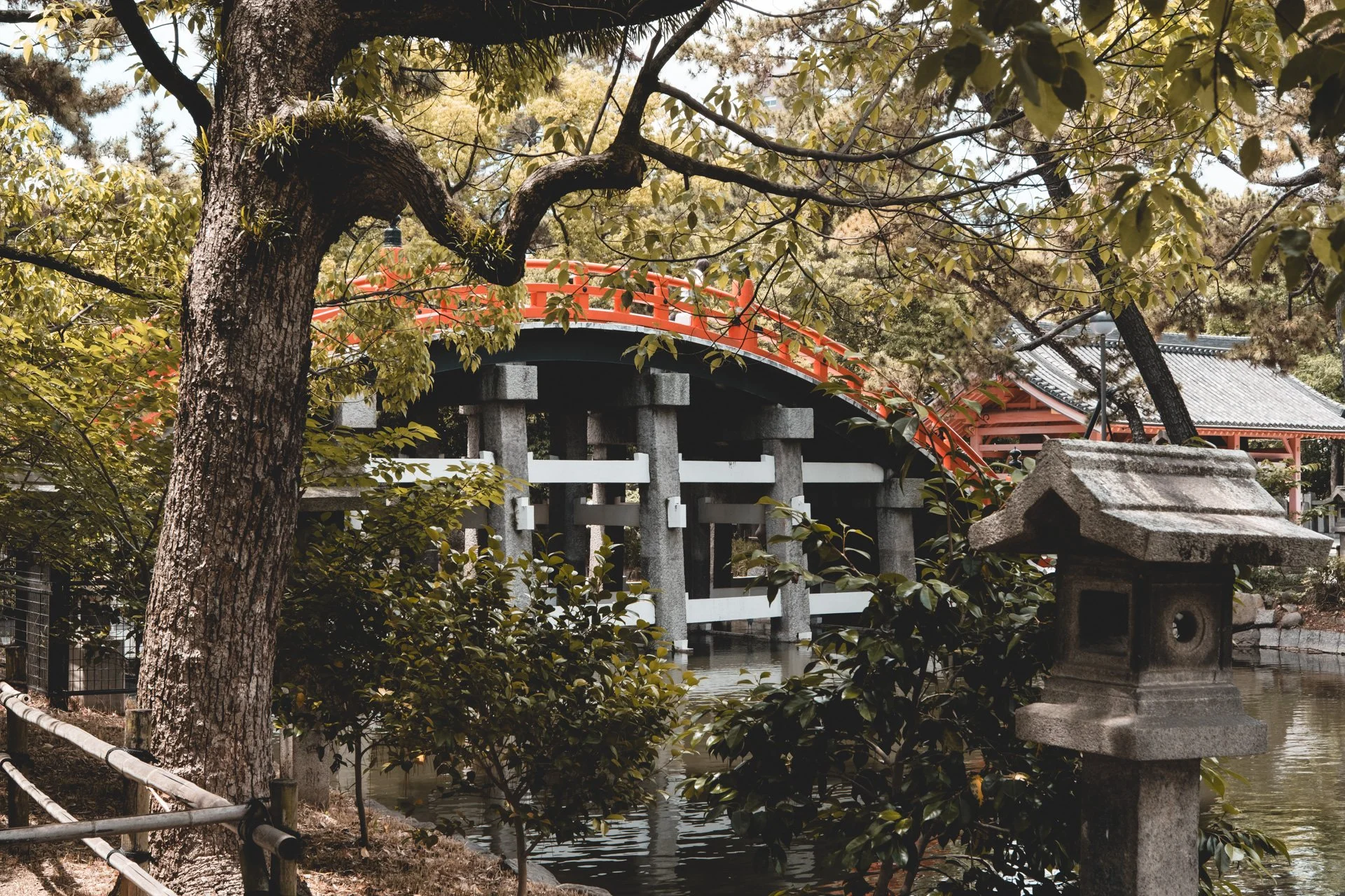 DSCF4752.jpg