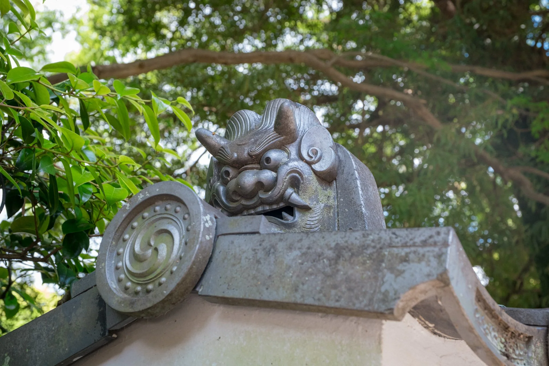 DSCF9121.jpg