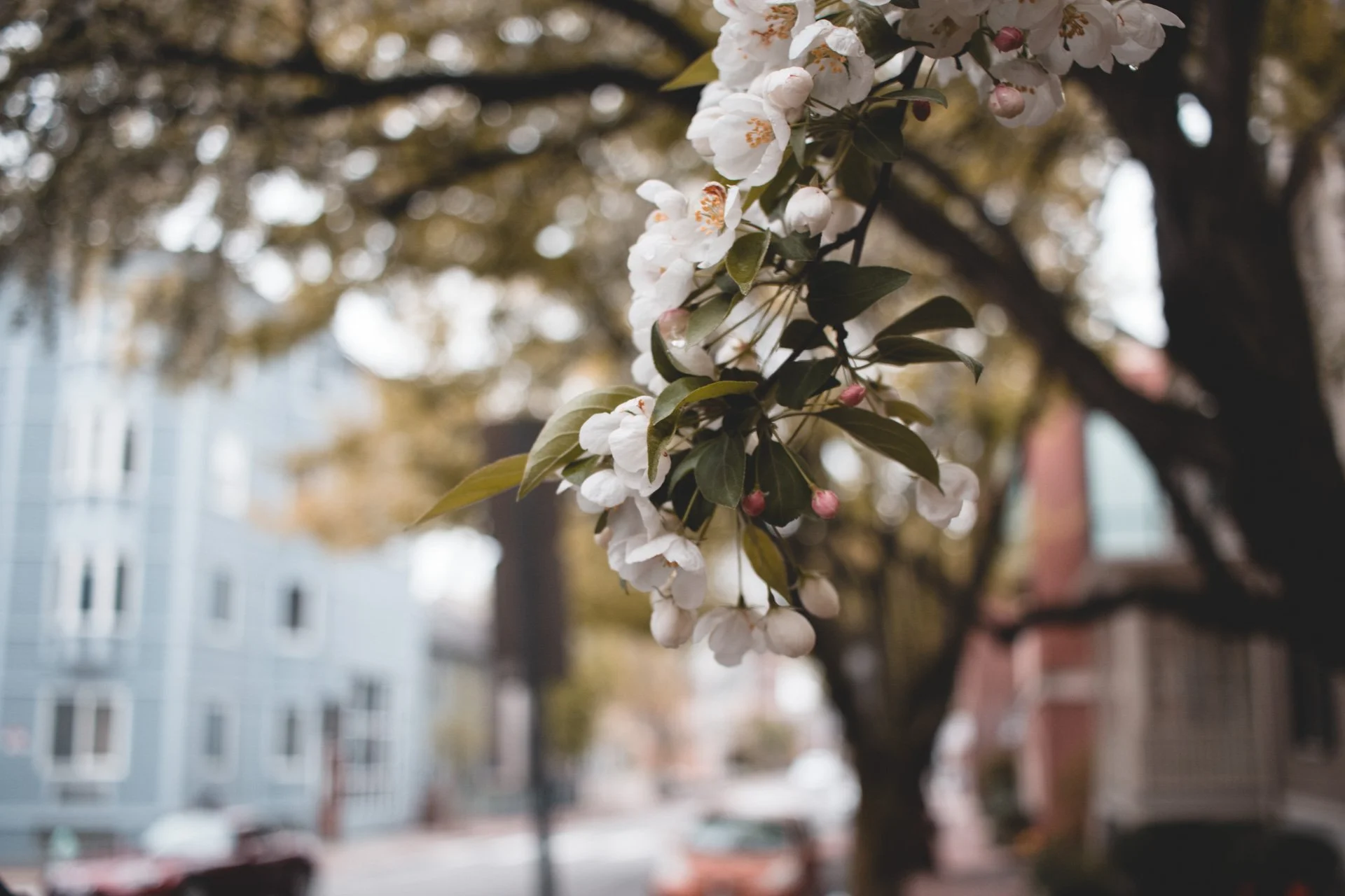 Boston-10.jpg